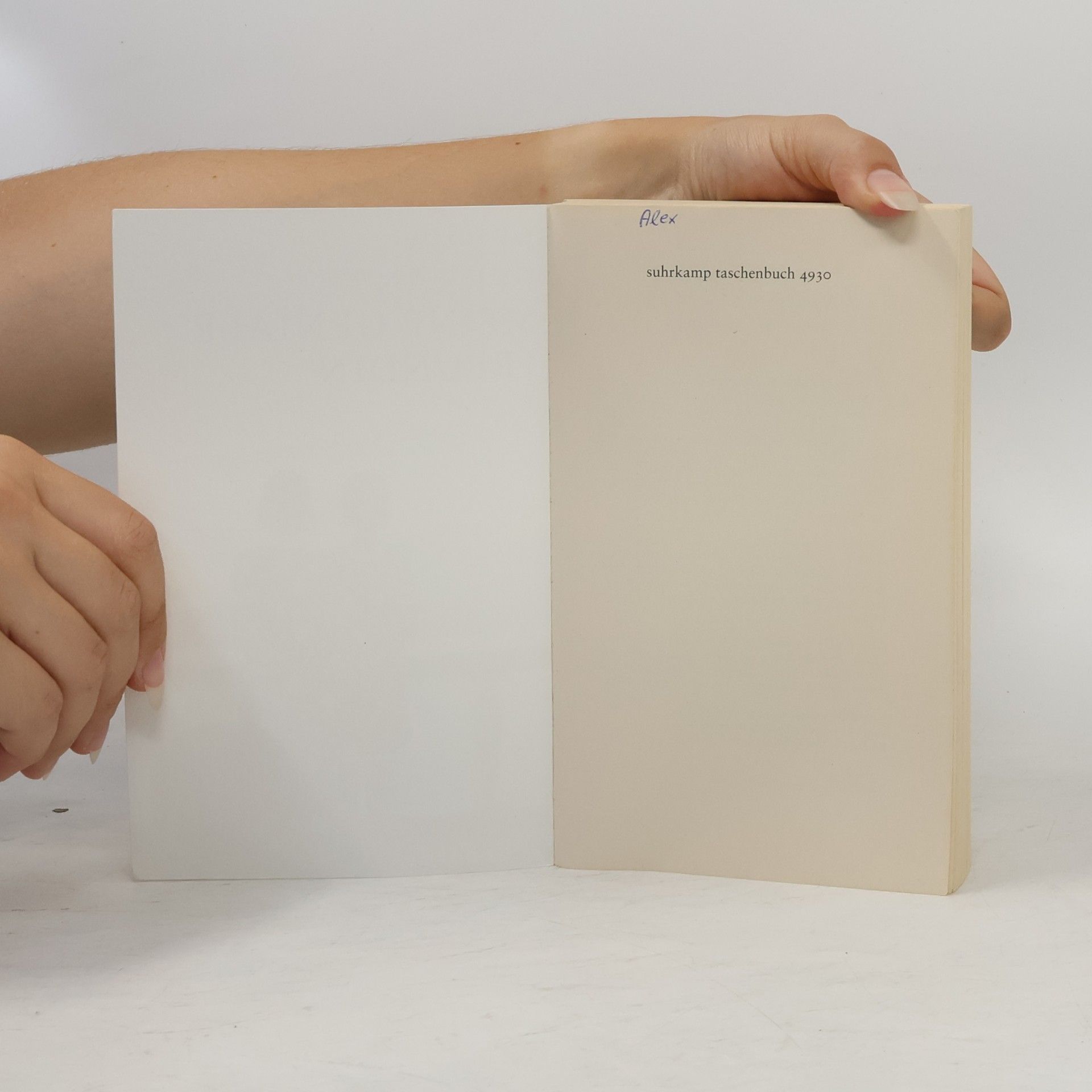 Elena Ferrante Meine geniale Freundin