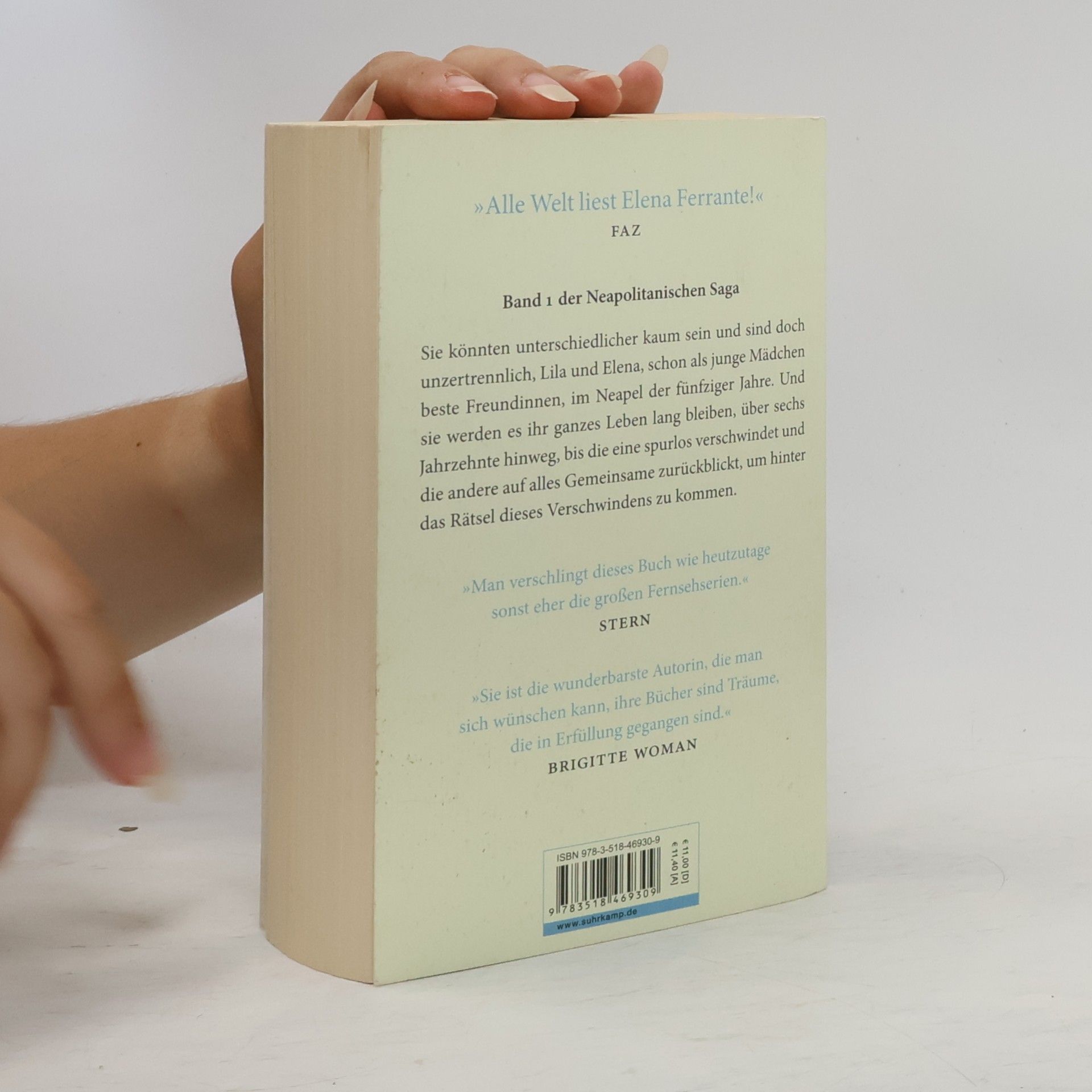Elena Ferrante Meine geniale Freundin