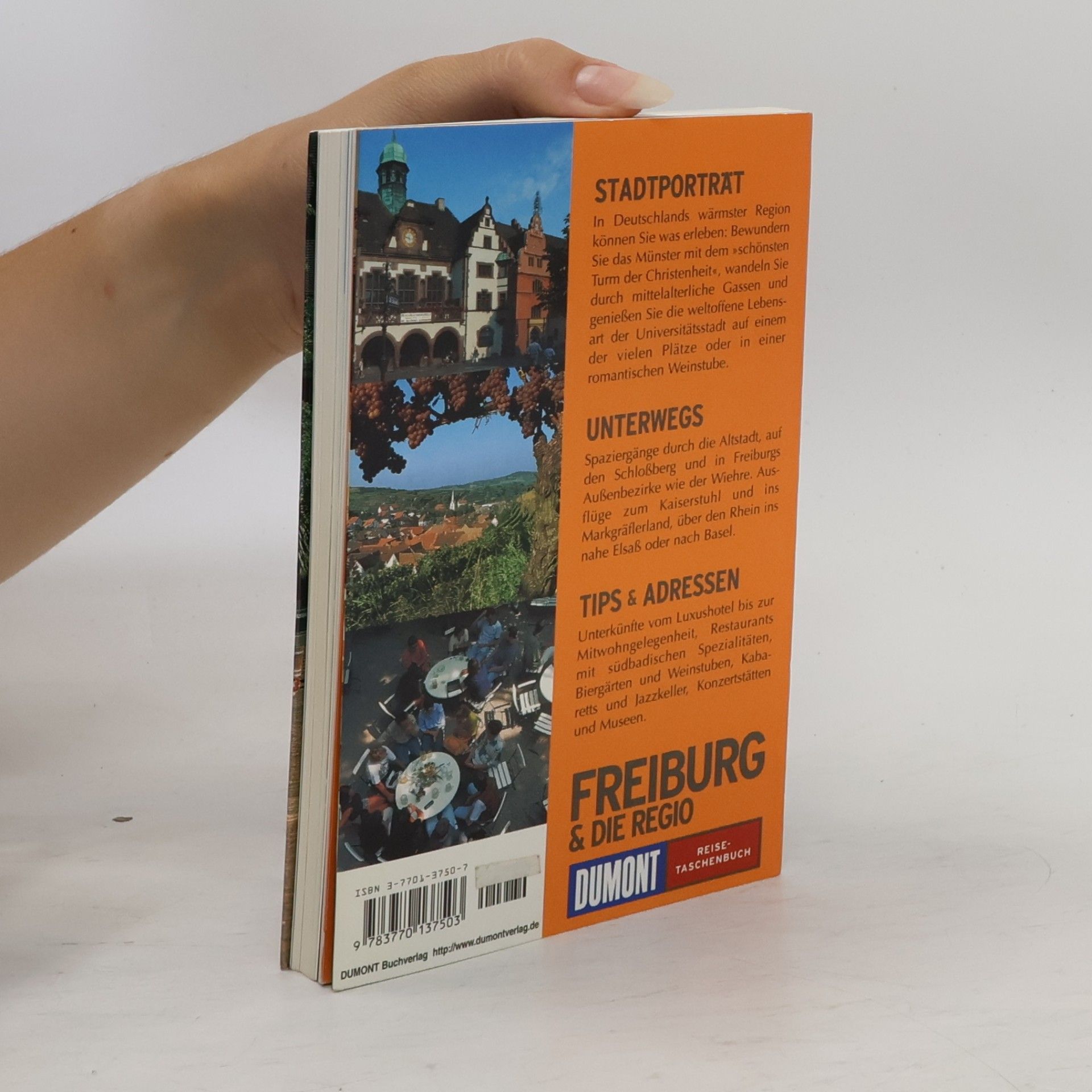 Peter Untucht Freiburg und die Regio