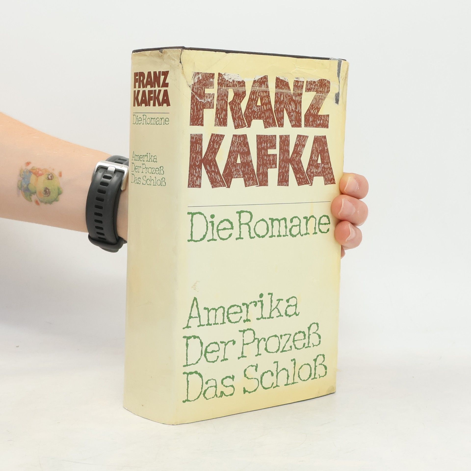 Franz Kafka Die Romane: Amerika, Der Prozess, Das Schloss