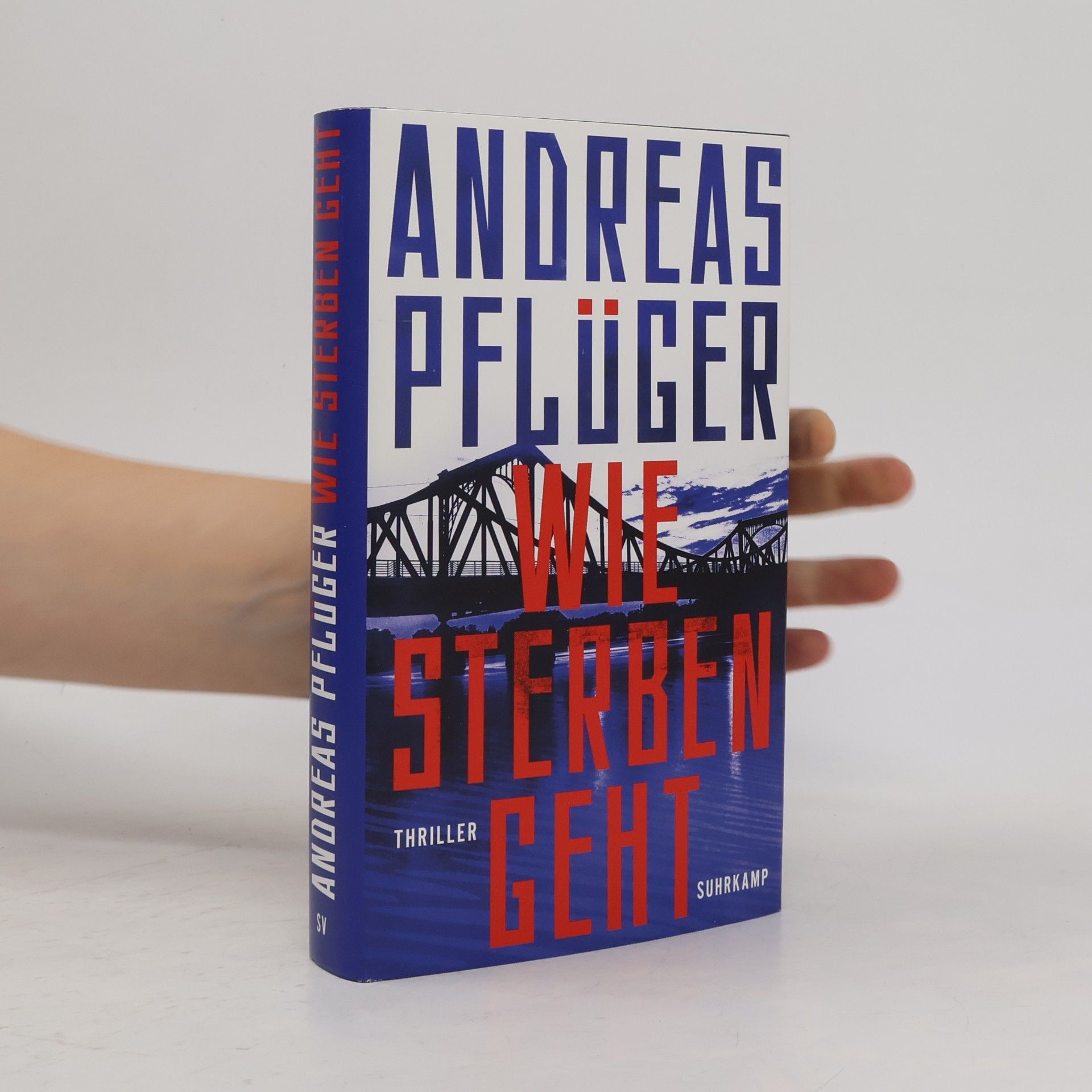 Andreas Pflüger Wie Sterben geht