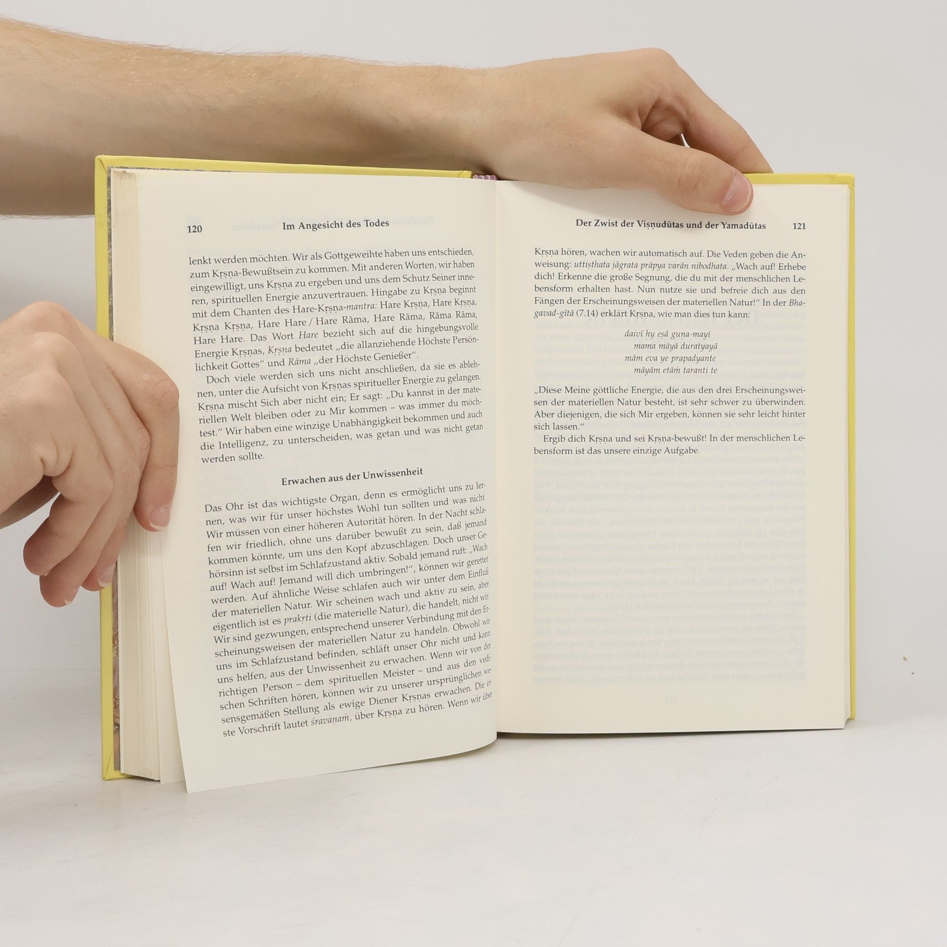 Autorenkollektiv Im Angesicht des Todes