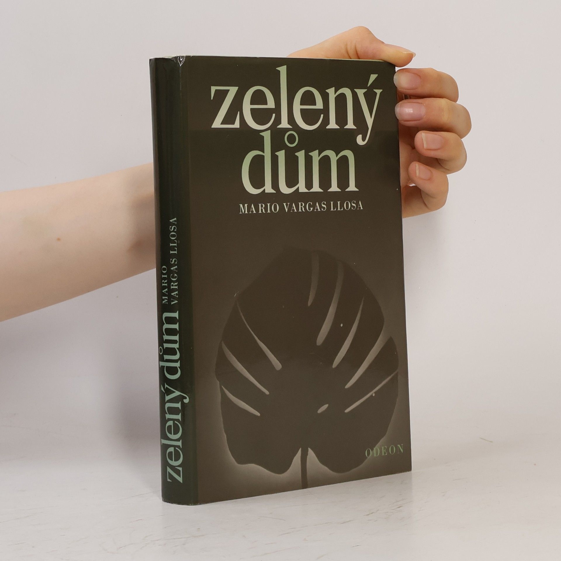 Mario Vargas Llosa Zelený dům