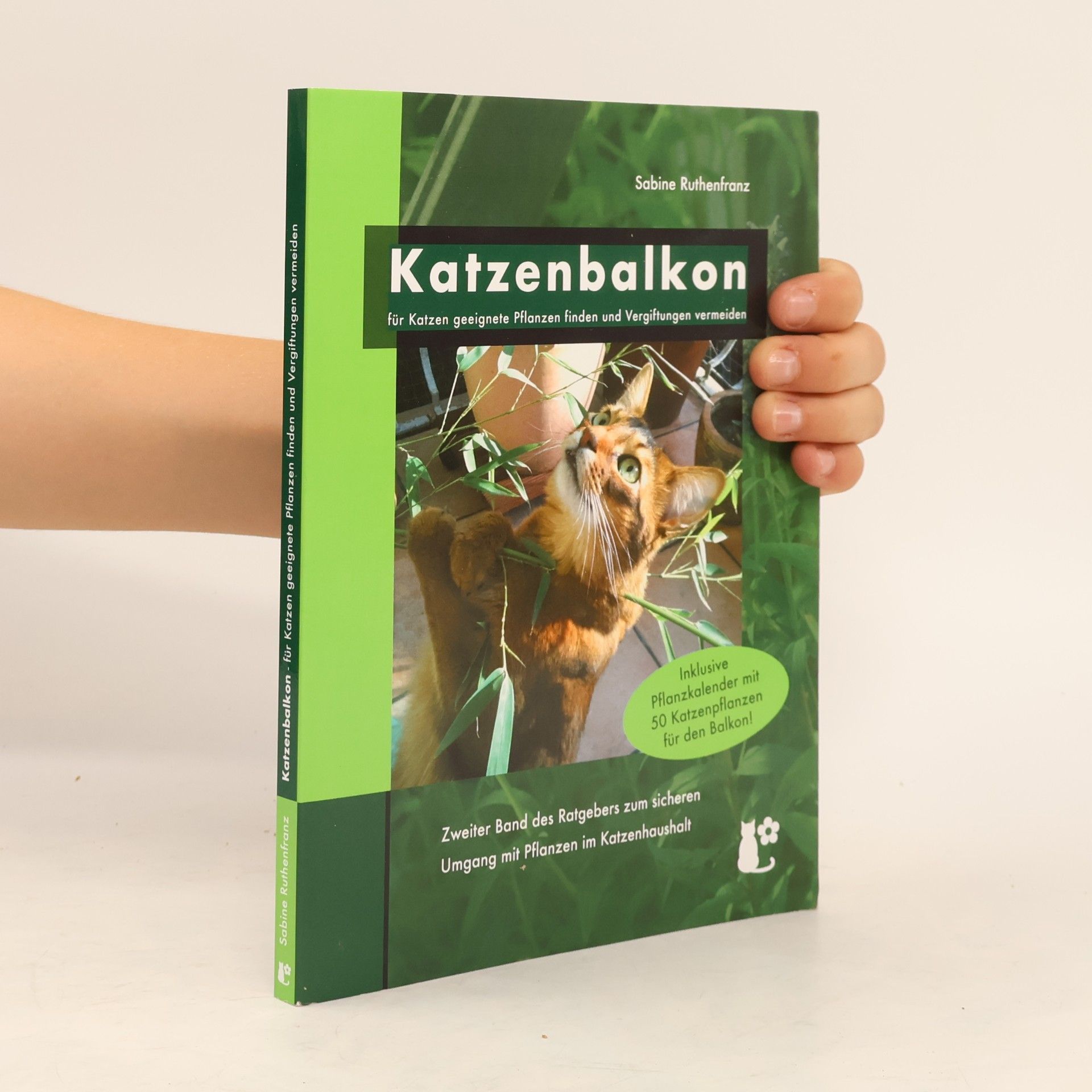Sabine Ruthenfranz Katzenbalkon