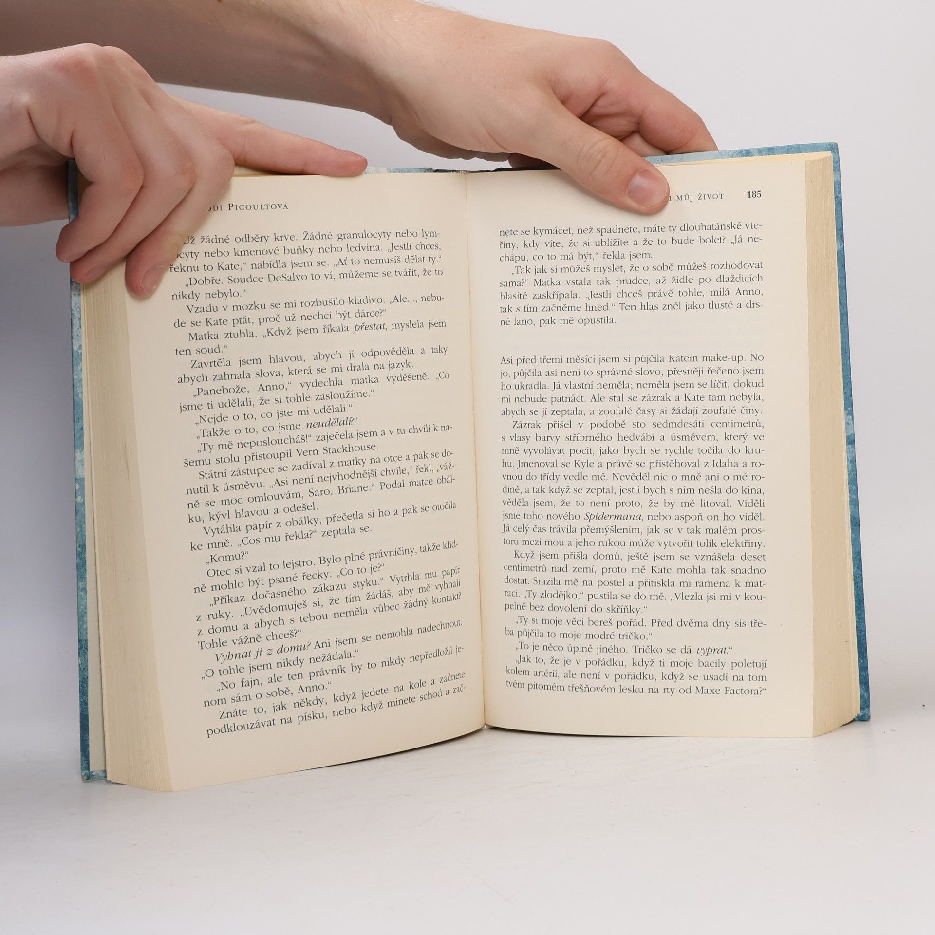 Jodi Picoult Je to i můj život