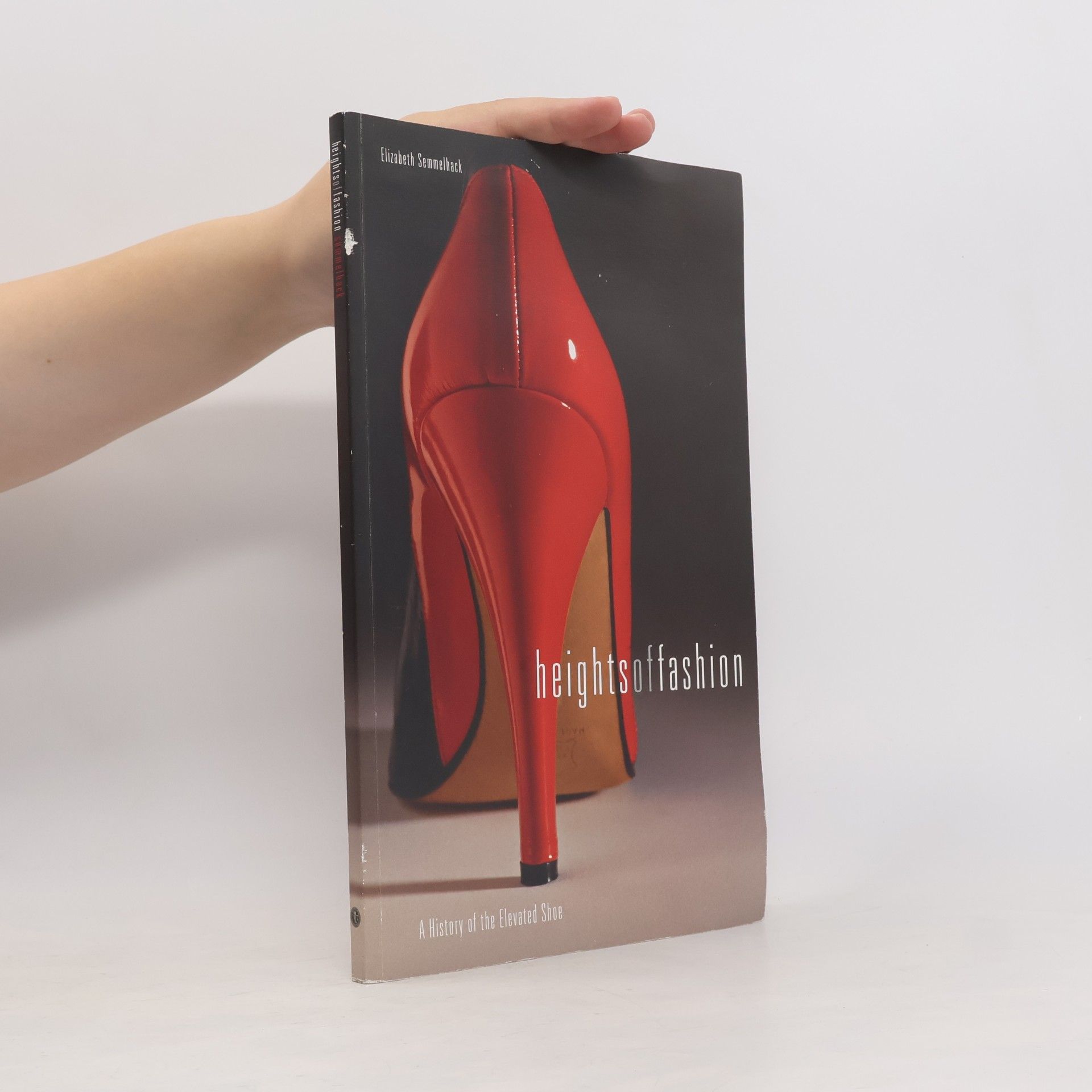 Linda Nochlin Heights of Fashion