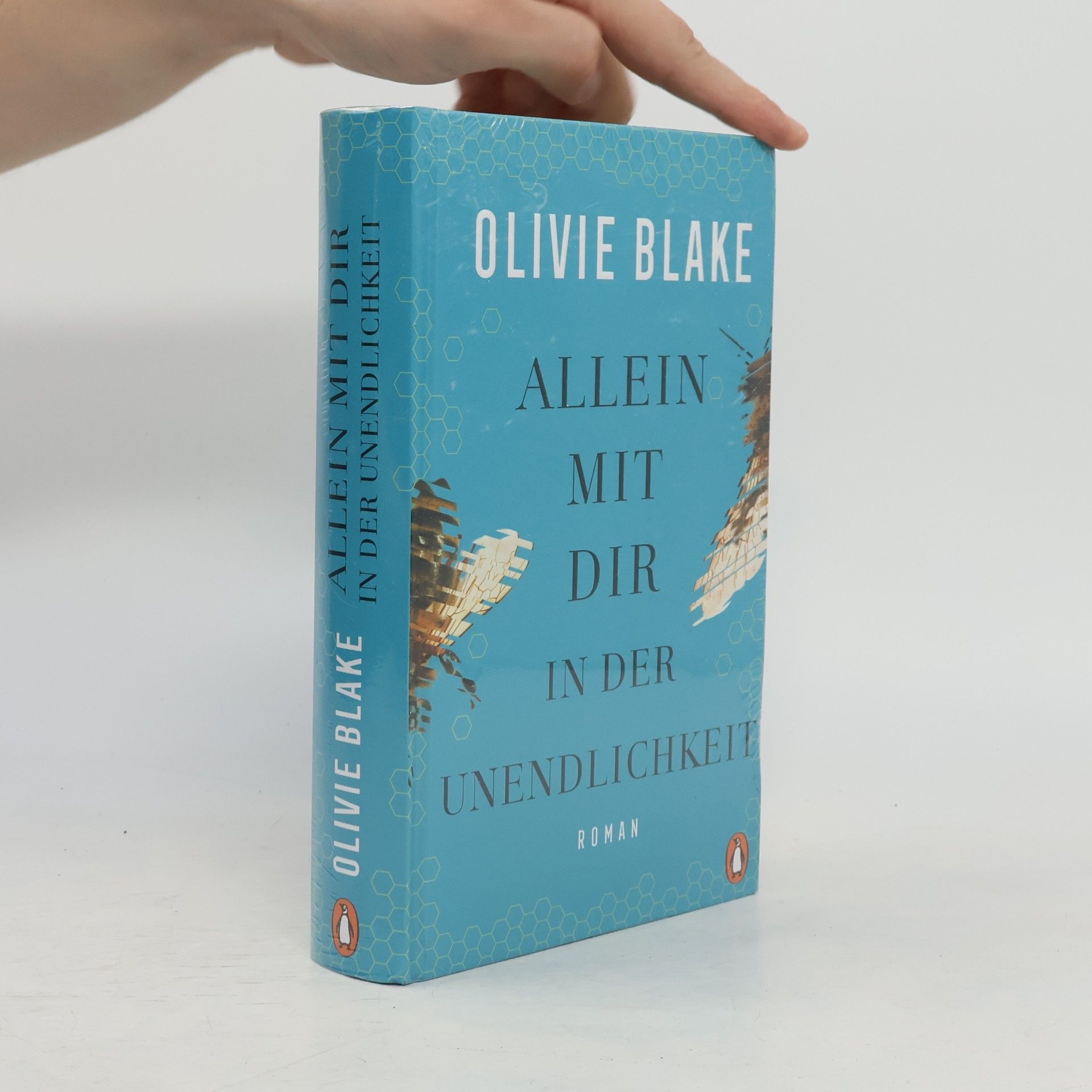 Olivie Blake Allein mit dir in der Unendlichkeit