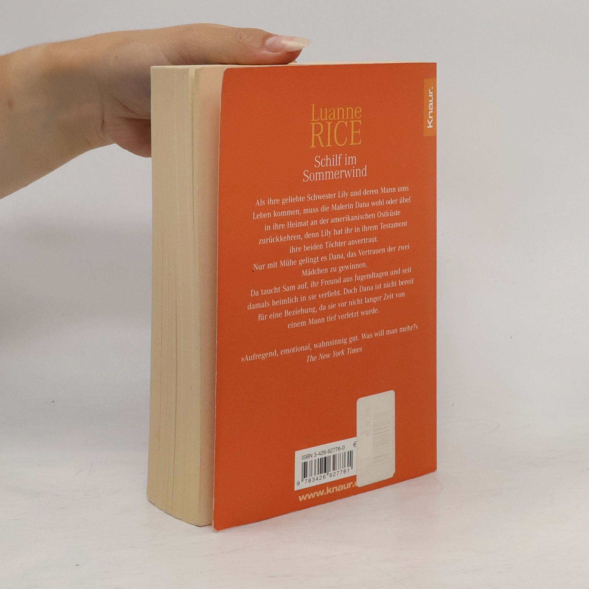 Luanne Rice Schilf im Sommerwind