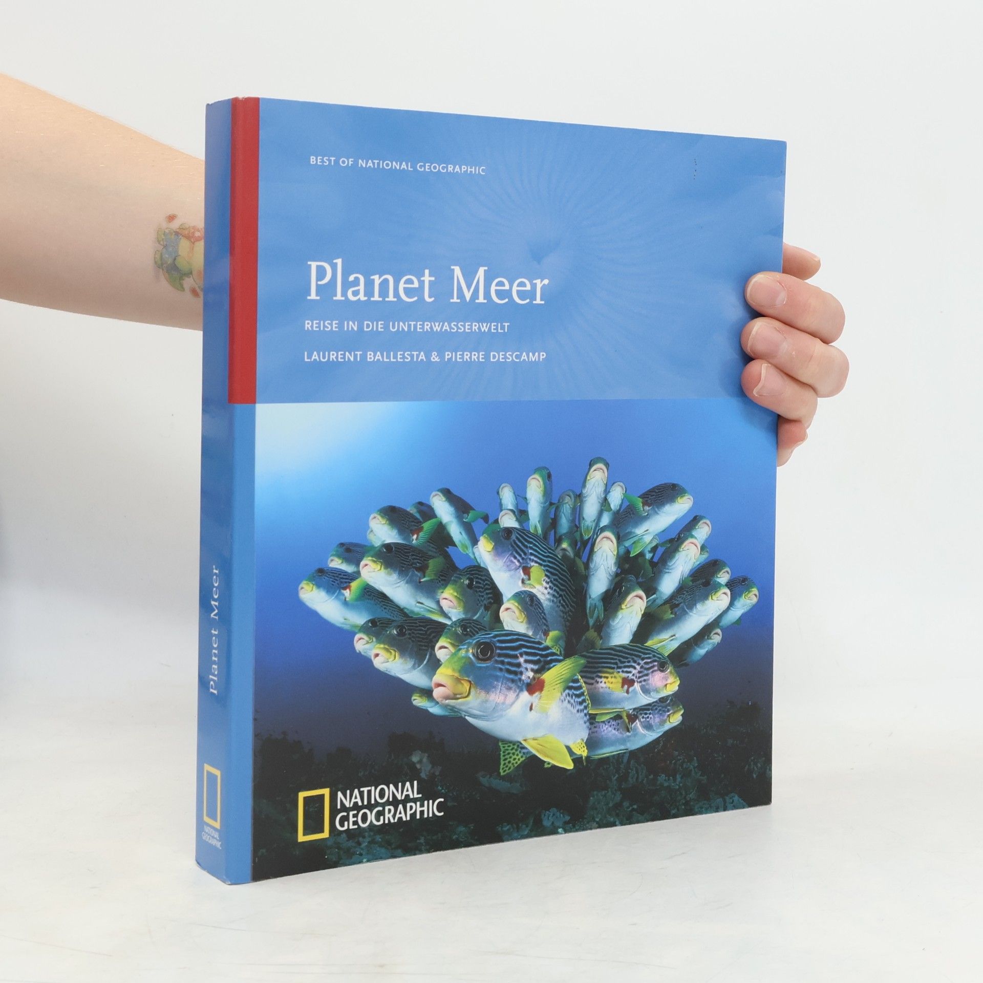 Pierre Descamp Planet Meer. Reise in die Unterwasserwelt