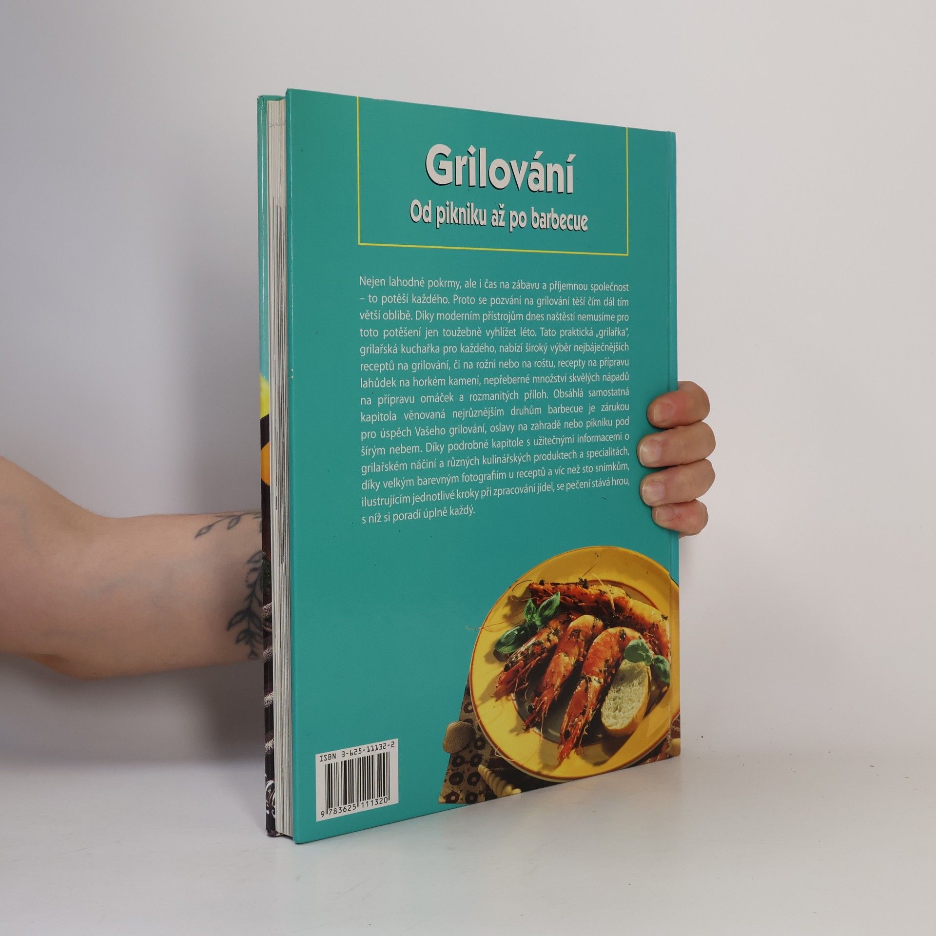 Autorenkollektiv Grilování. Od pikniku až po barbecue