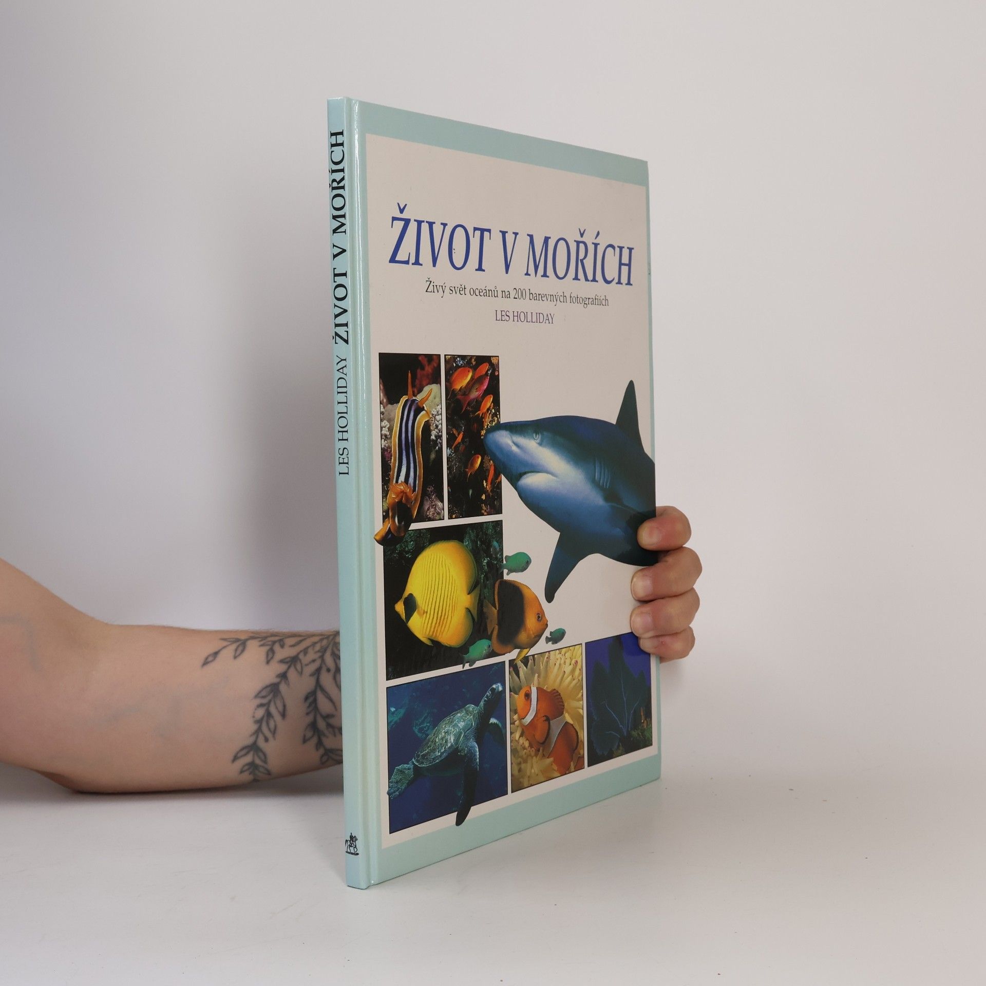 Romana Anděrová Život v mořích