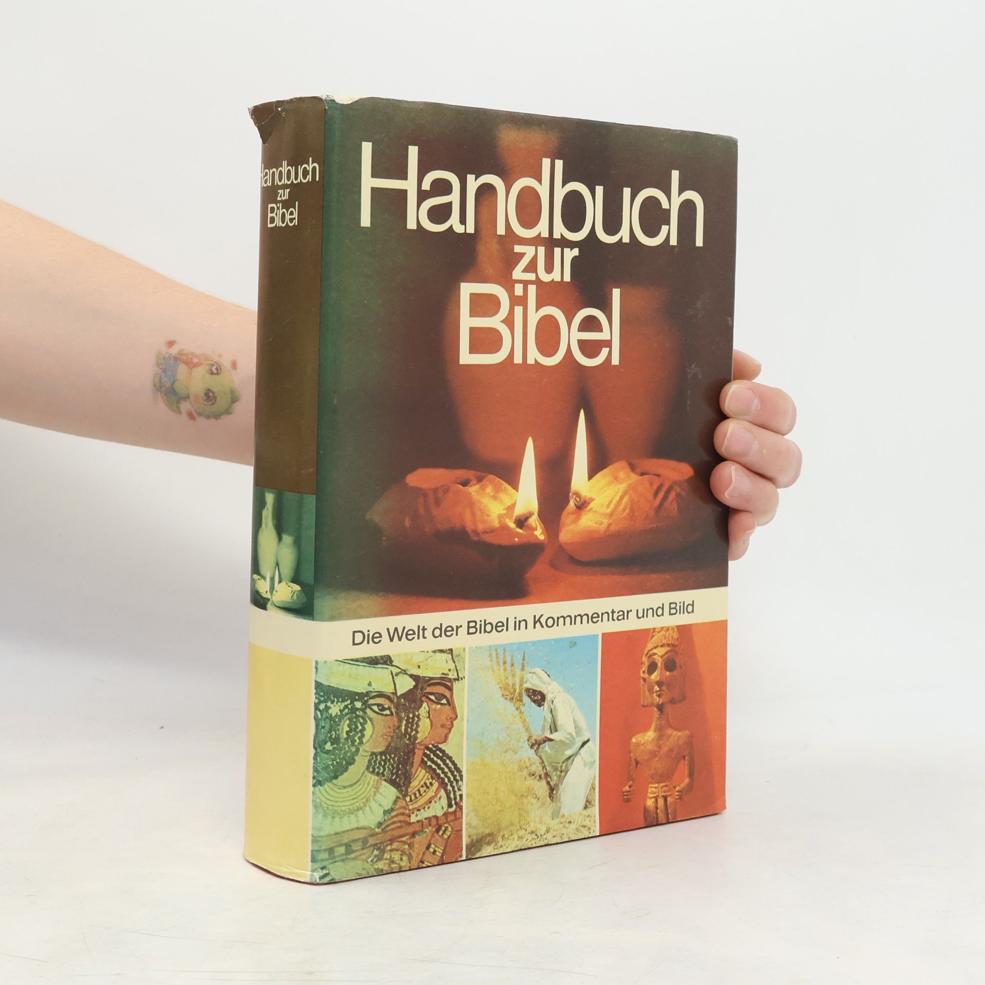 David Alexander Handbuch zur Bibel