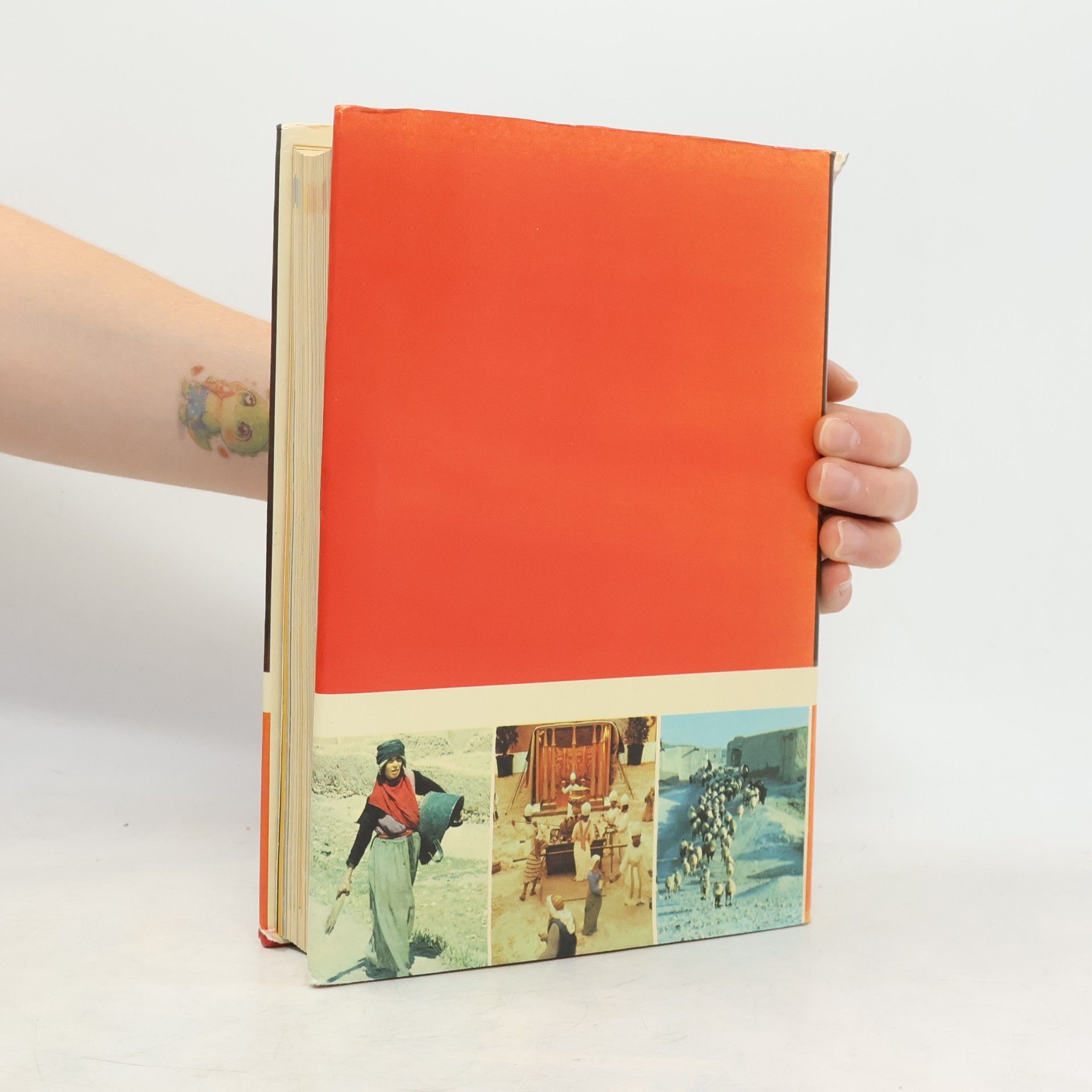 David Alexander Handbuch zur Bibel