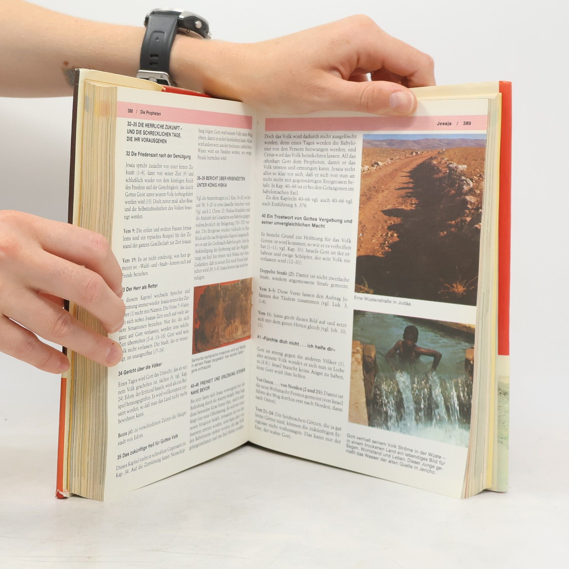 David Alexander Handbuch zur Bibel