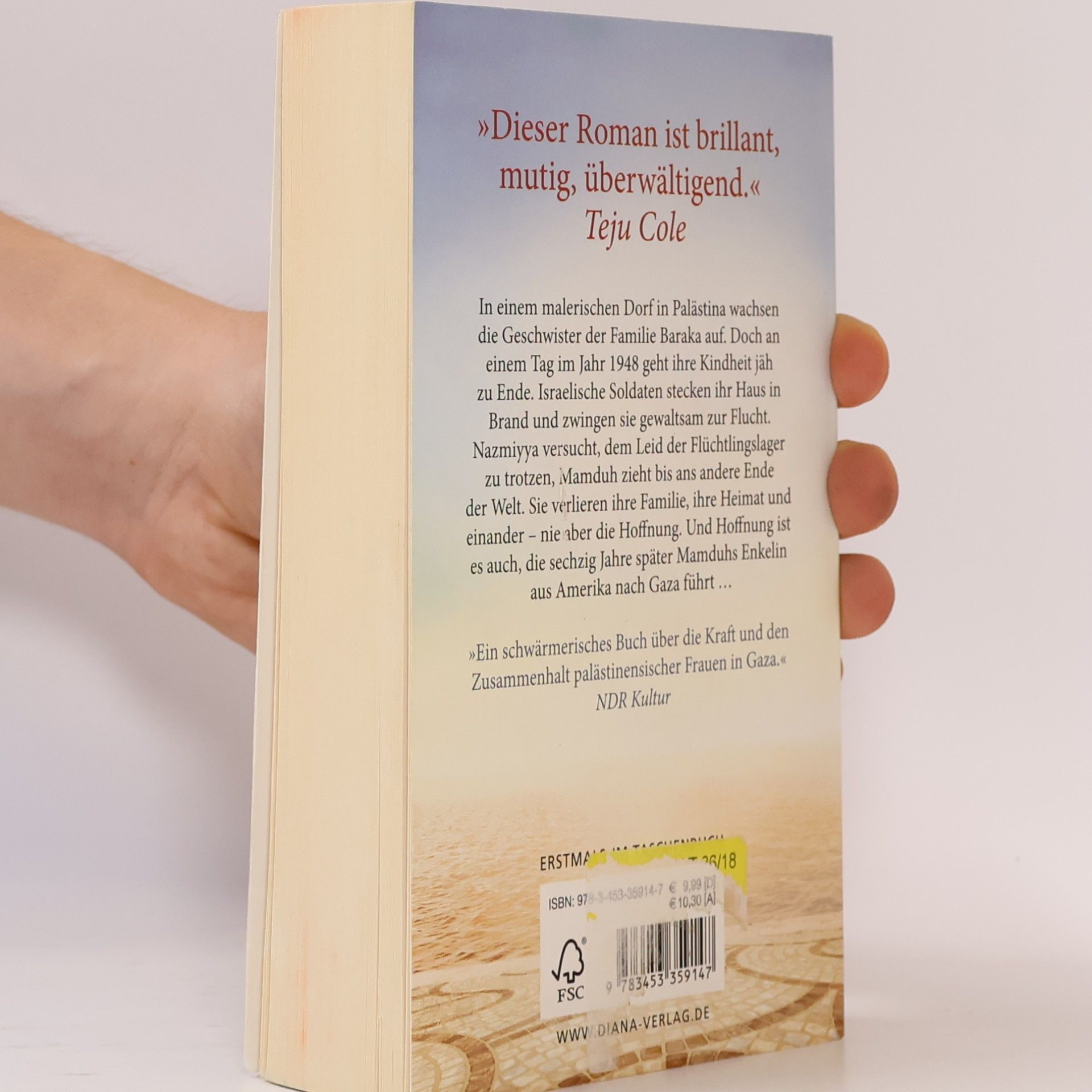 Susan Abulhawa Als die Sonne im Meer verschwand