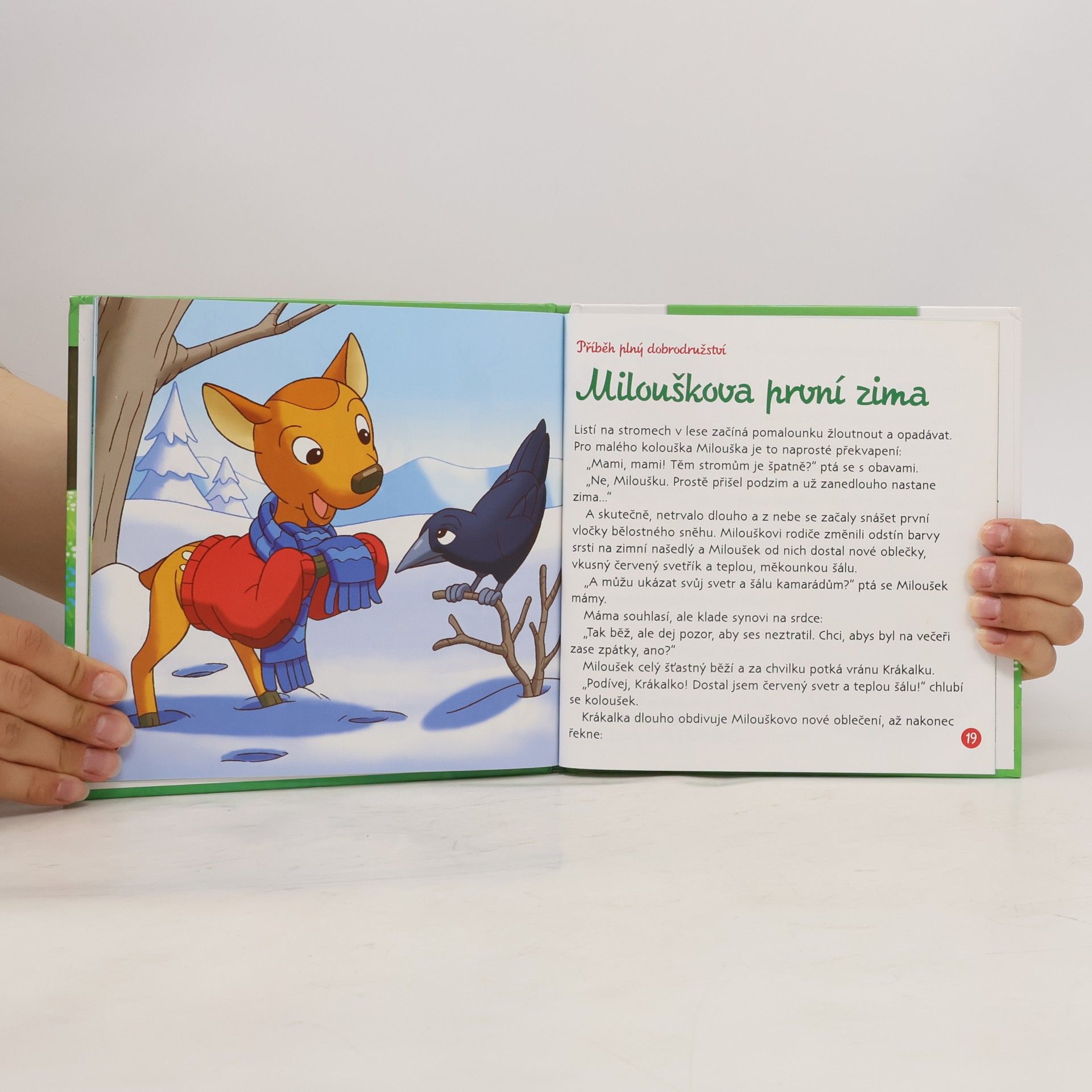 Kolektiv autorů Bydlím v lese 1. Jelen