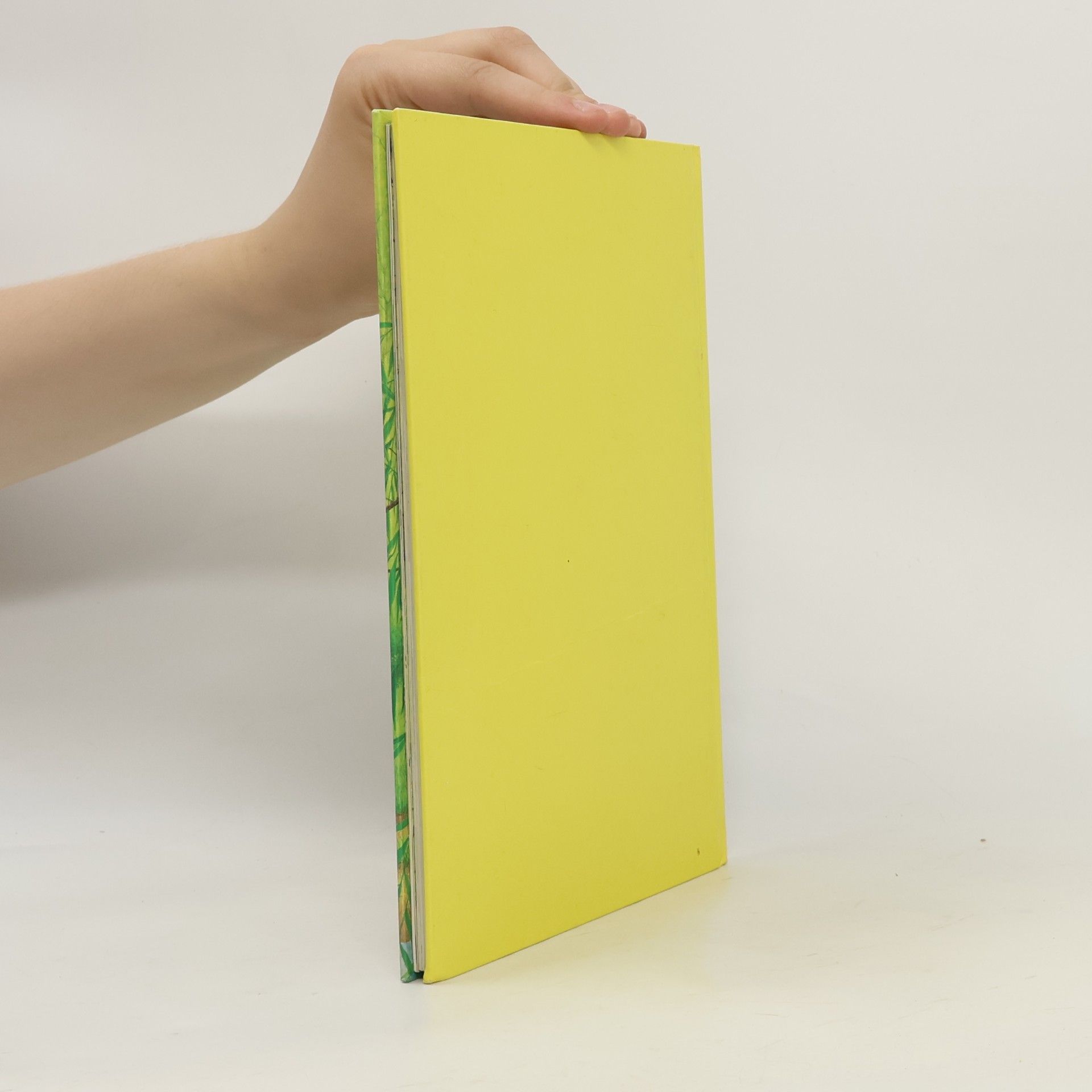 Autores varios Bambi wird erwachsen