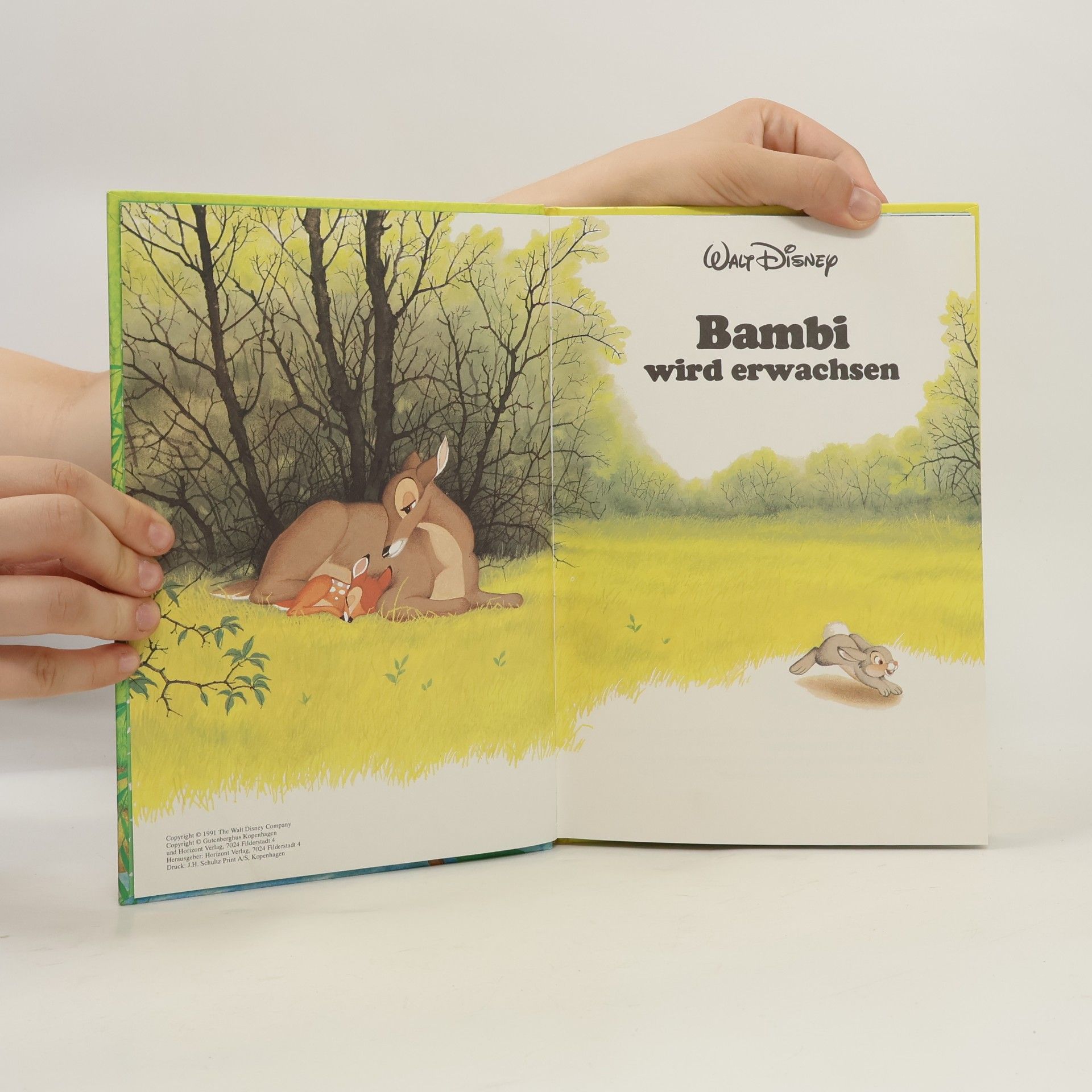 Autores varios Bambi wird erwachsen