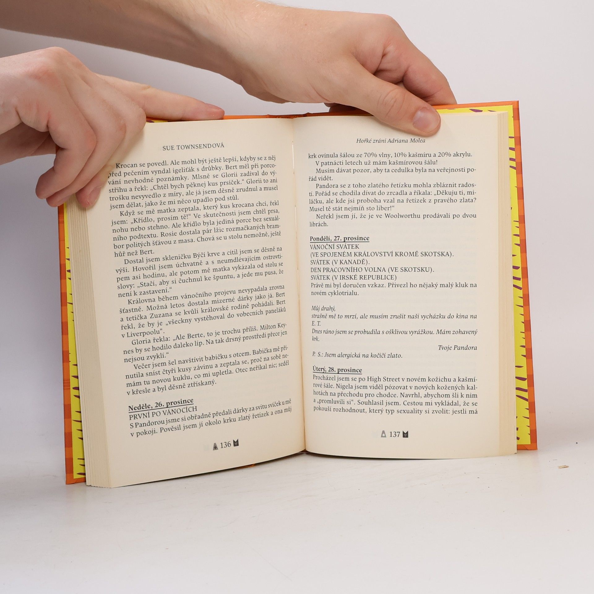 Sue Townsend Hořké zrání Adriana Molea