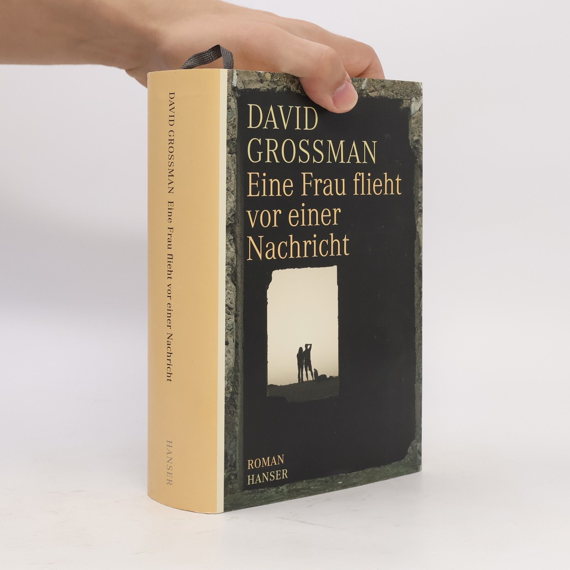 David Grossman Eine Frau flieht vor einer Nachricht