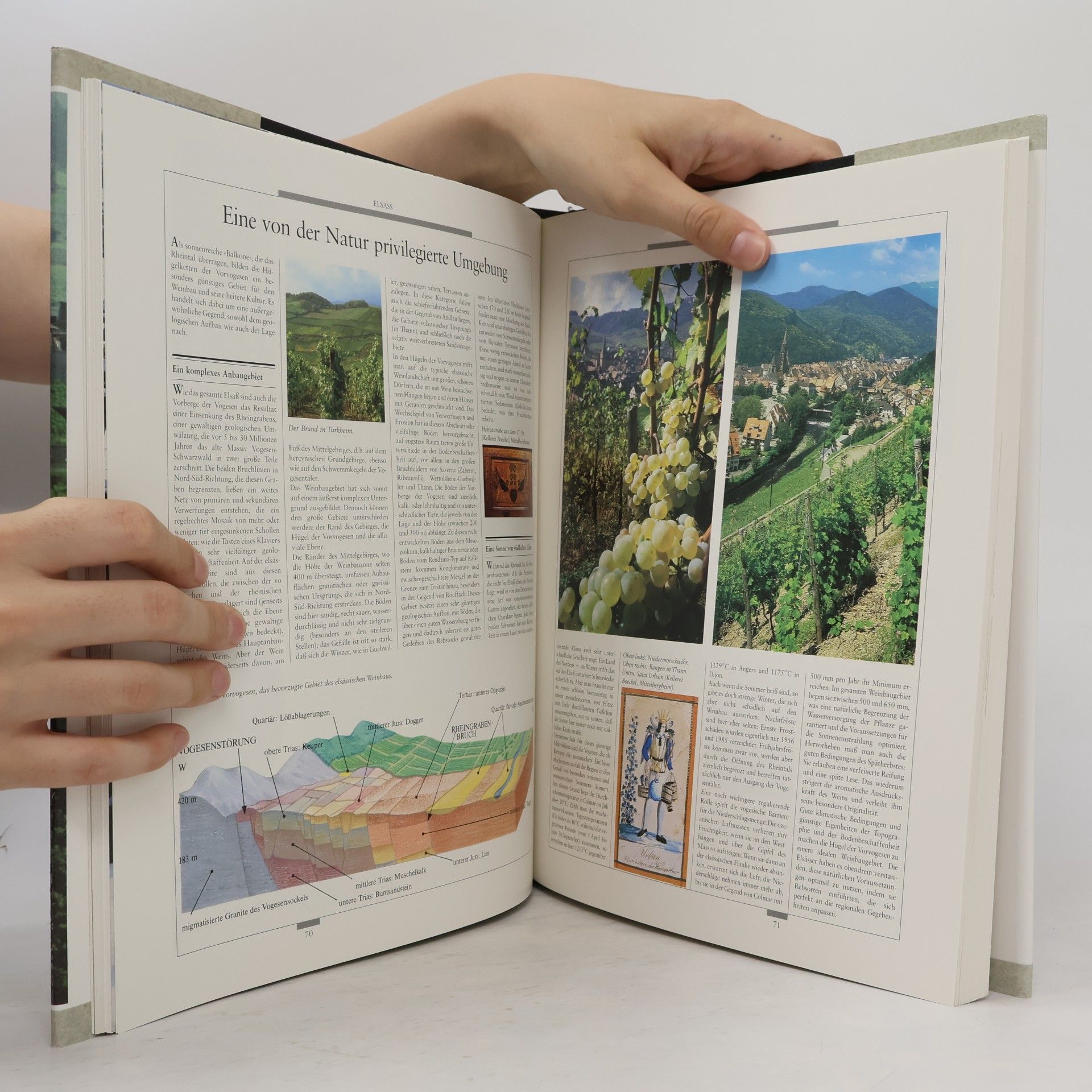 Pascal Ribéreau-Gayon Hachette-Weinatlas Frankreich