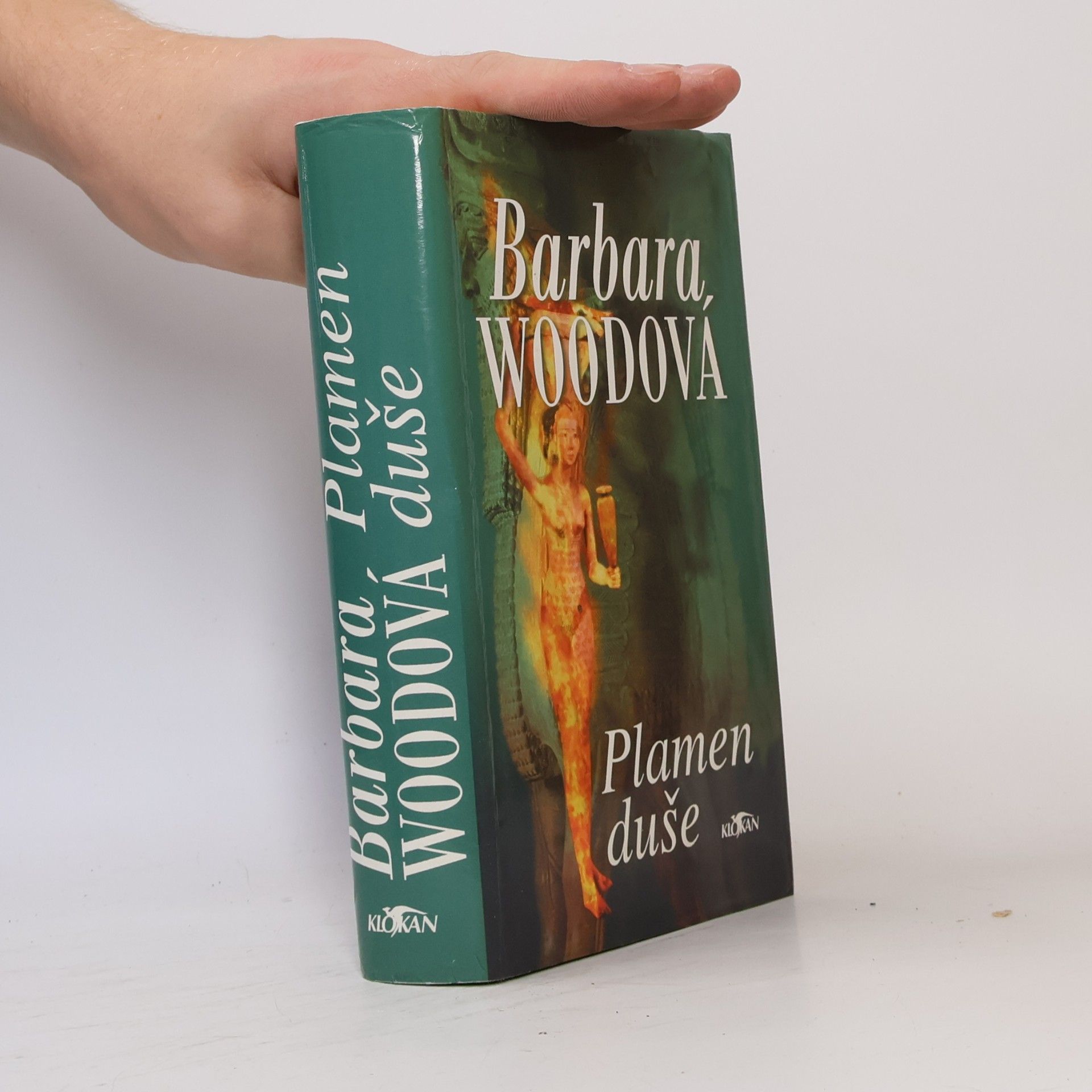 Barbara Wood Plamen duše