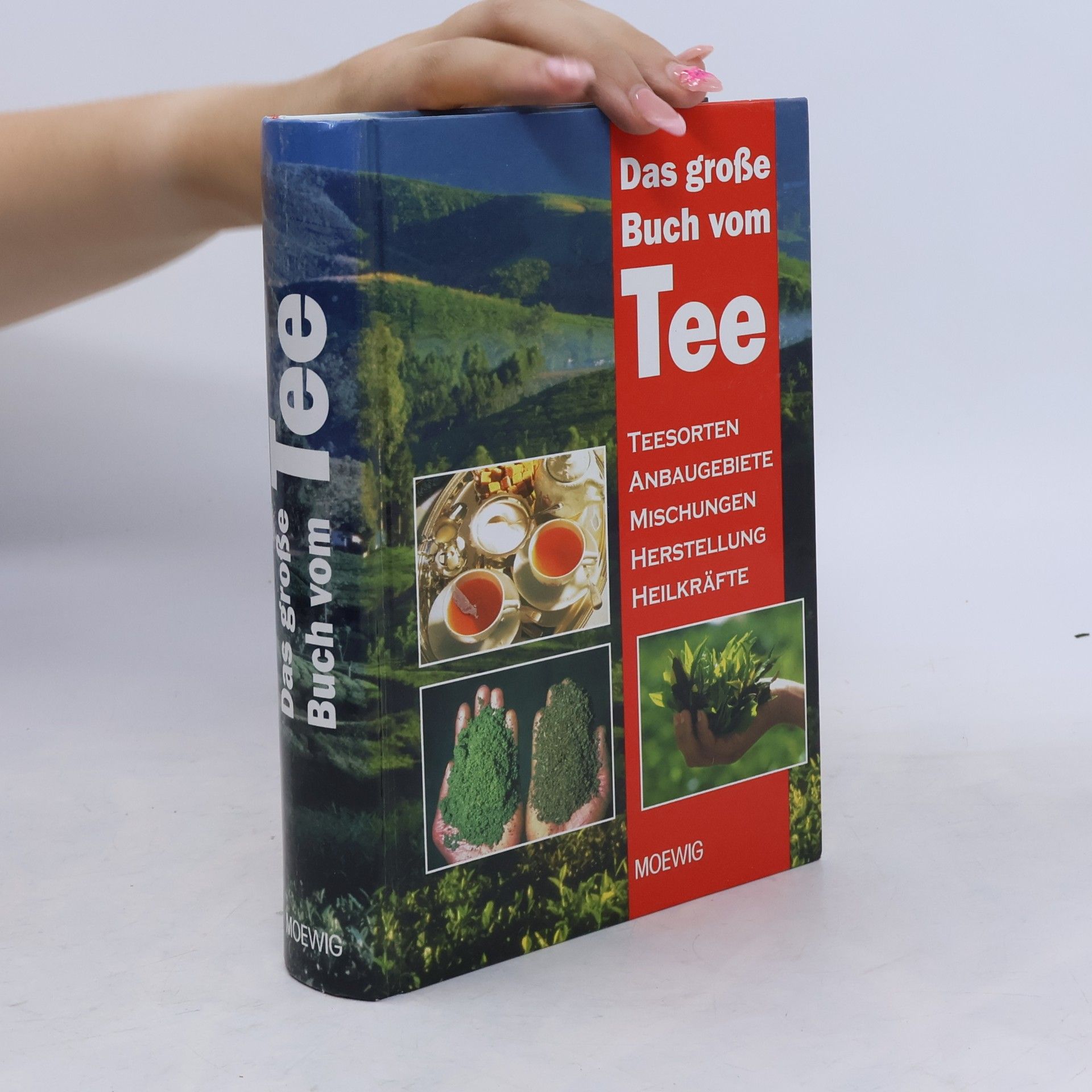 Pia Dahlem Das große Buch vom Tee