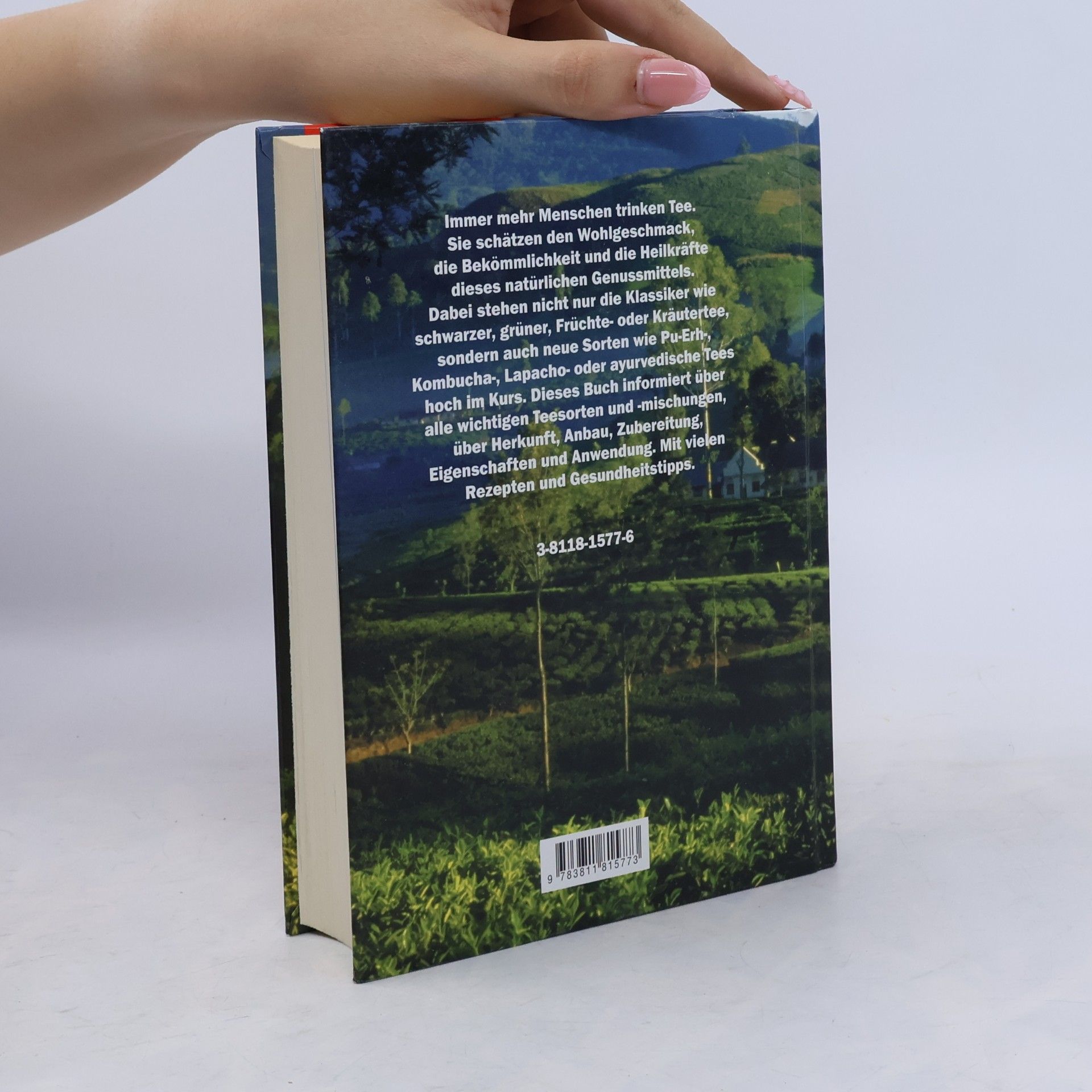 Pia Dahlem Das große Buch vom Tee