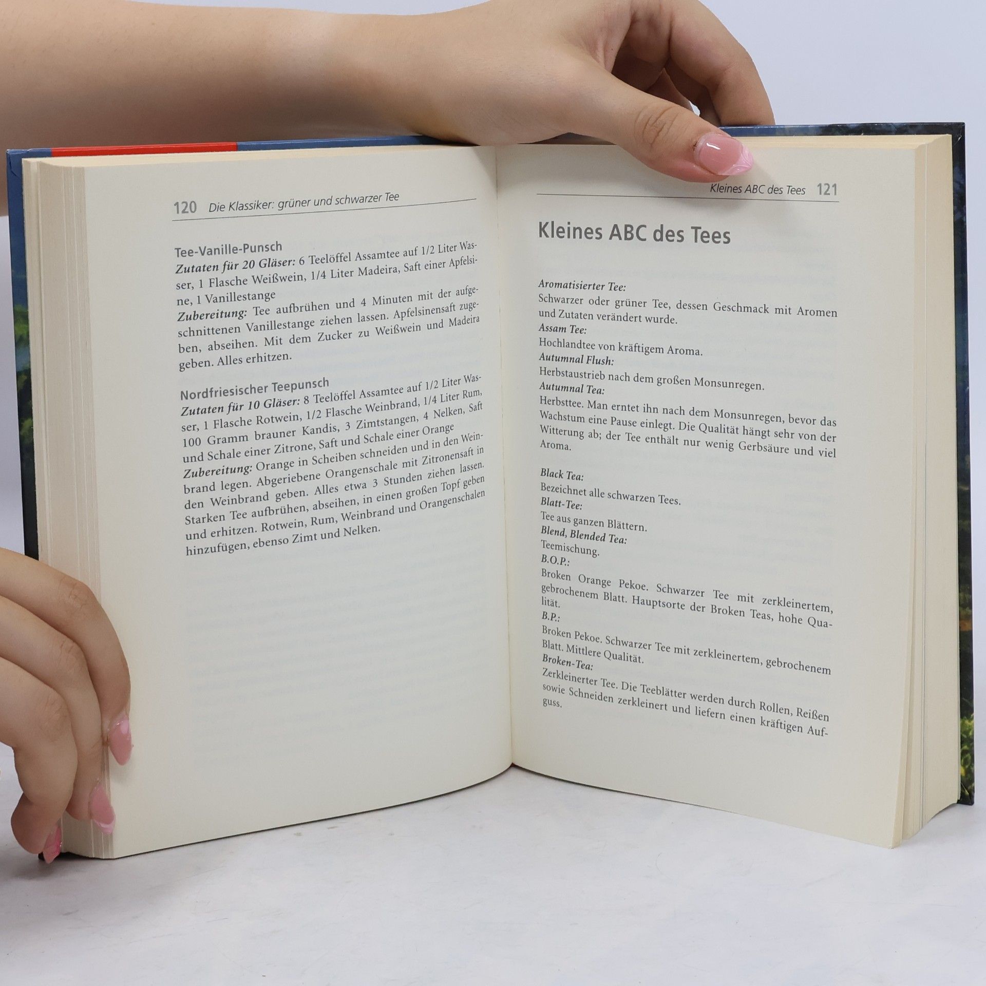 Pia Dahlem Das große Buch vom Tee