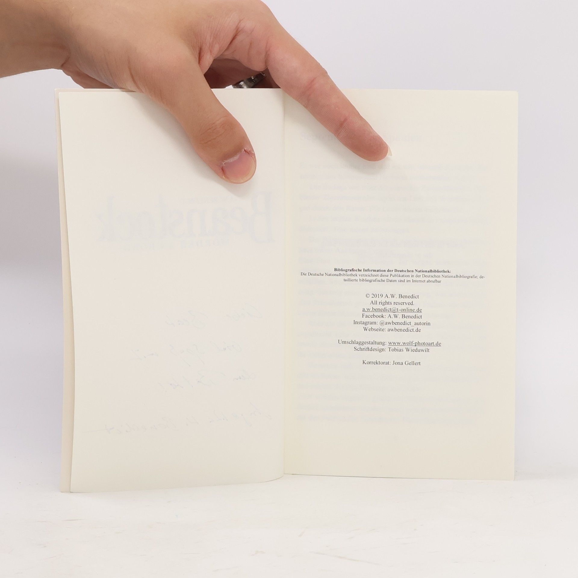 A. W. Benedict Beanstock - Mörder an Bord (4. Buch)