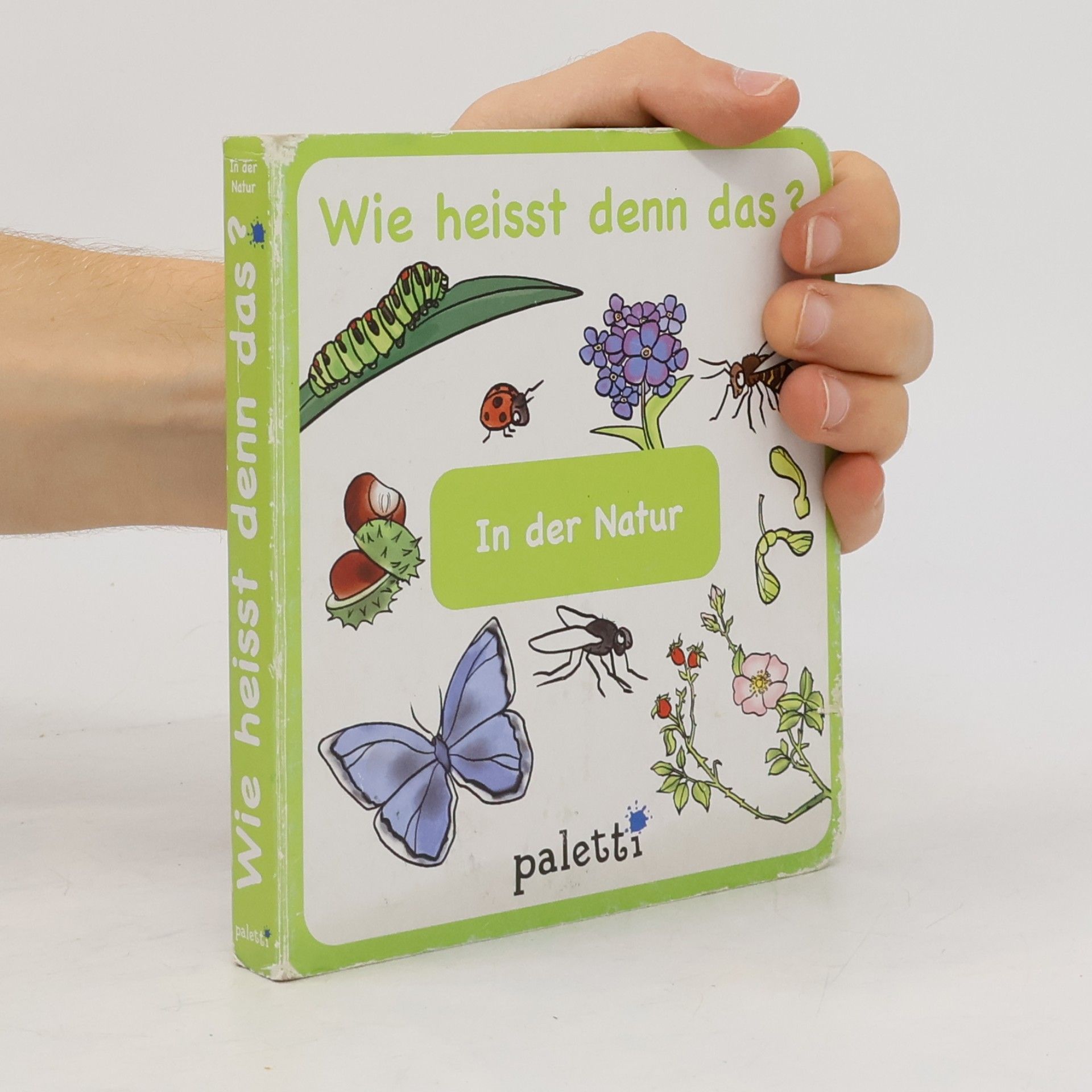 Autorenkollektiv Wie heisst denn das?