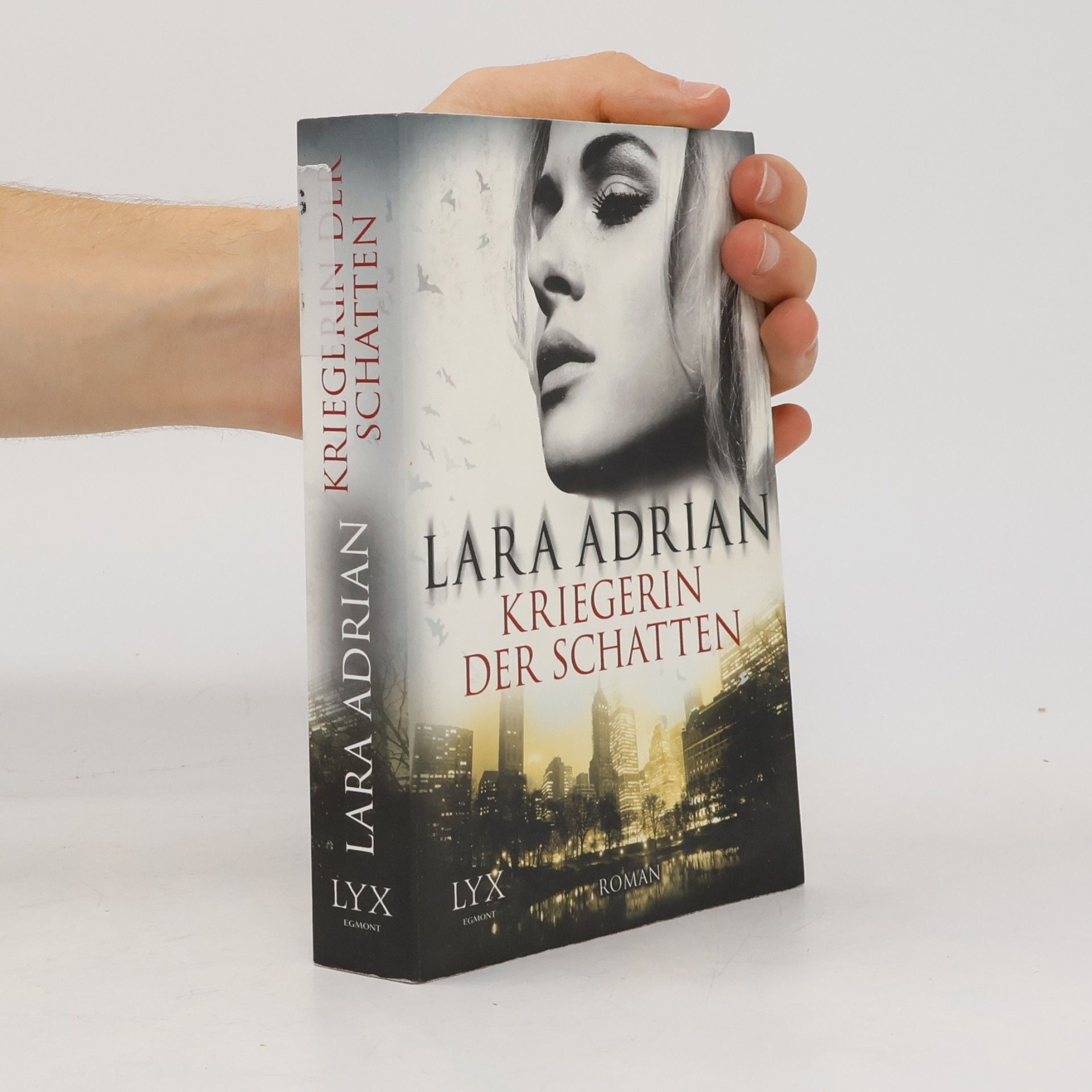 Lara Adrian Kriegerin der Schatten