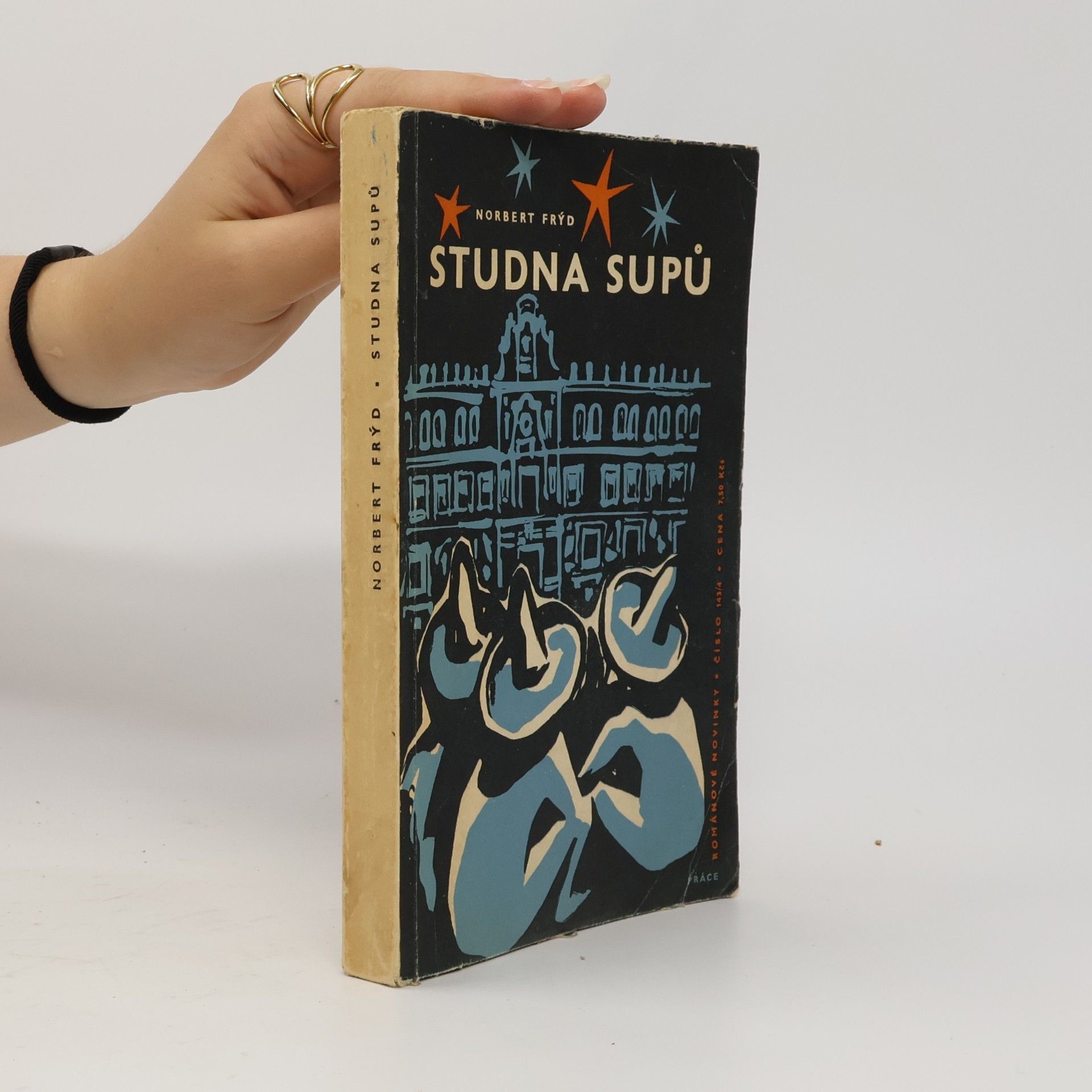 Norbert Frýd Studna supů : román