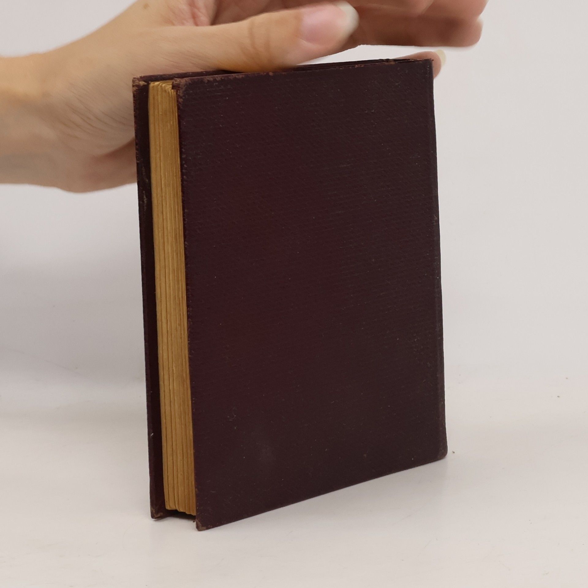 Guy de Maupassant Bett neunundzwanzig und andere Novellen