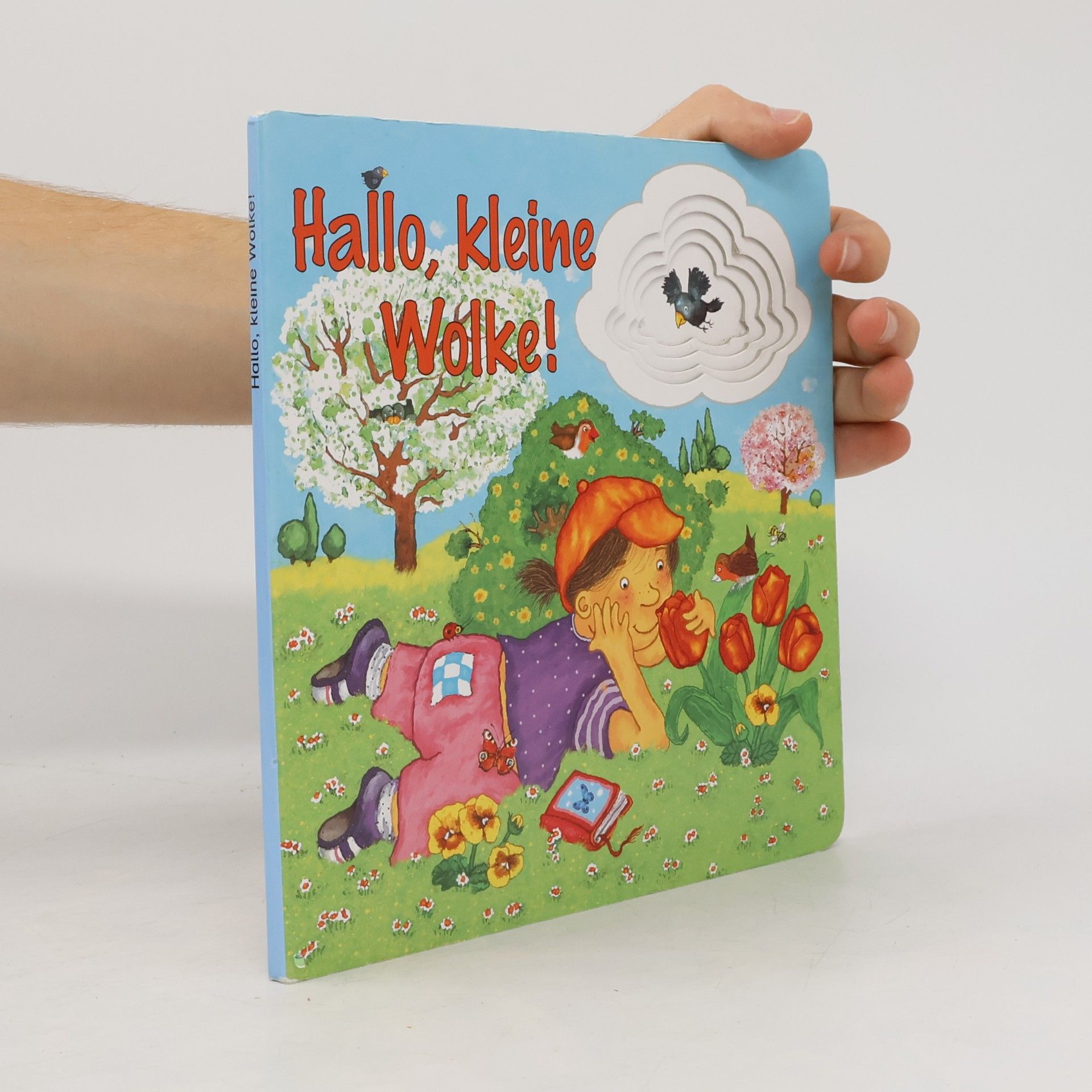 Das kleine Buch von der Wolke und den Jahreszeiten: Frühling, Sommer, Herbst und Winter