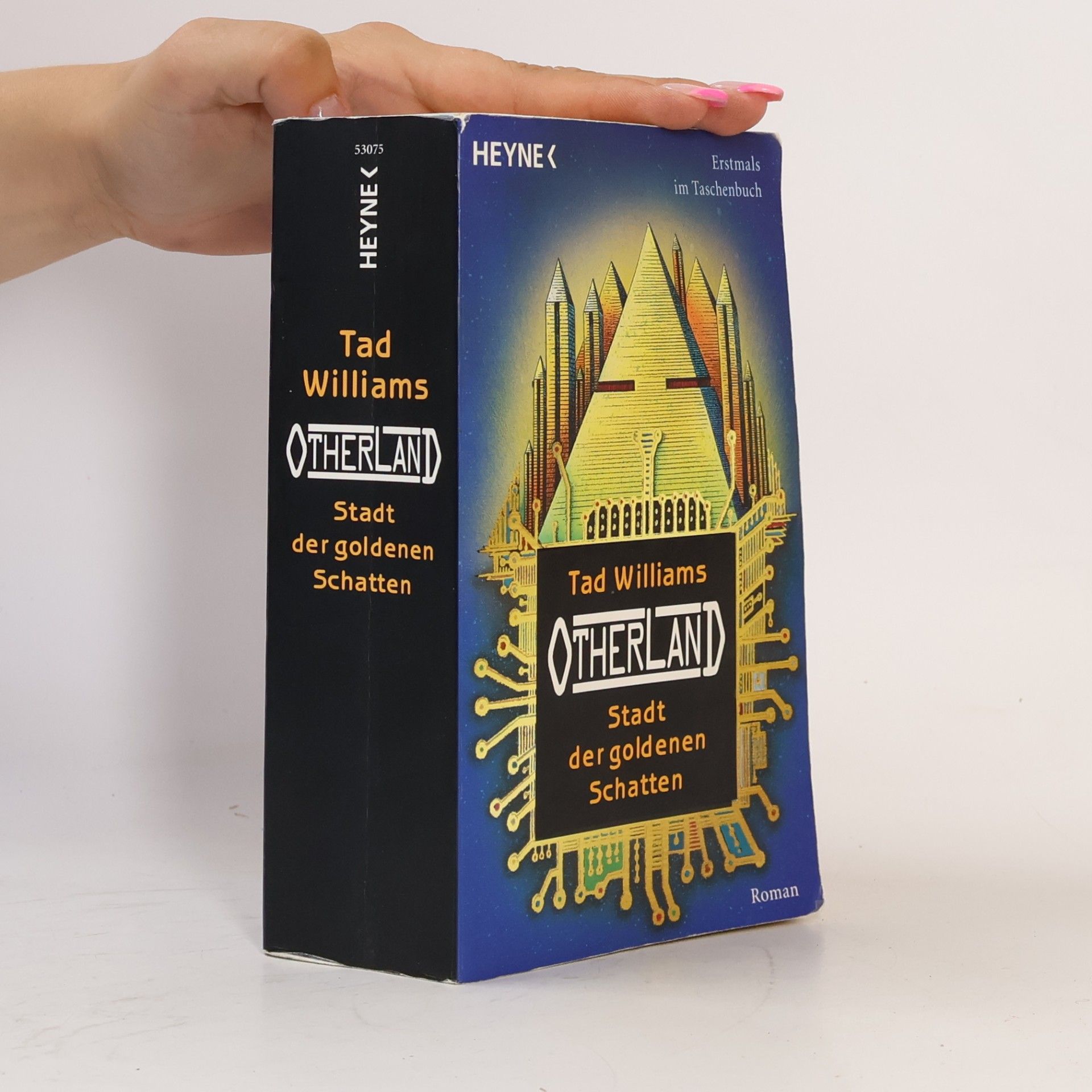 Tad Williams Otherland 1