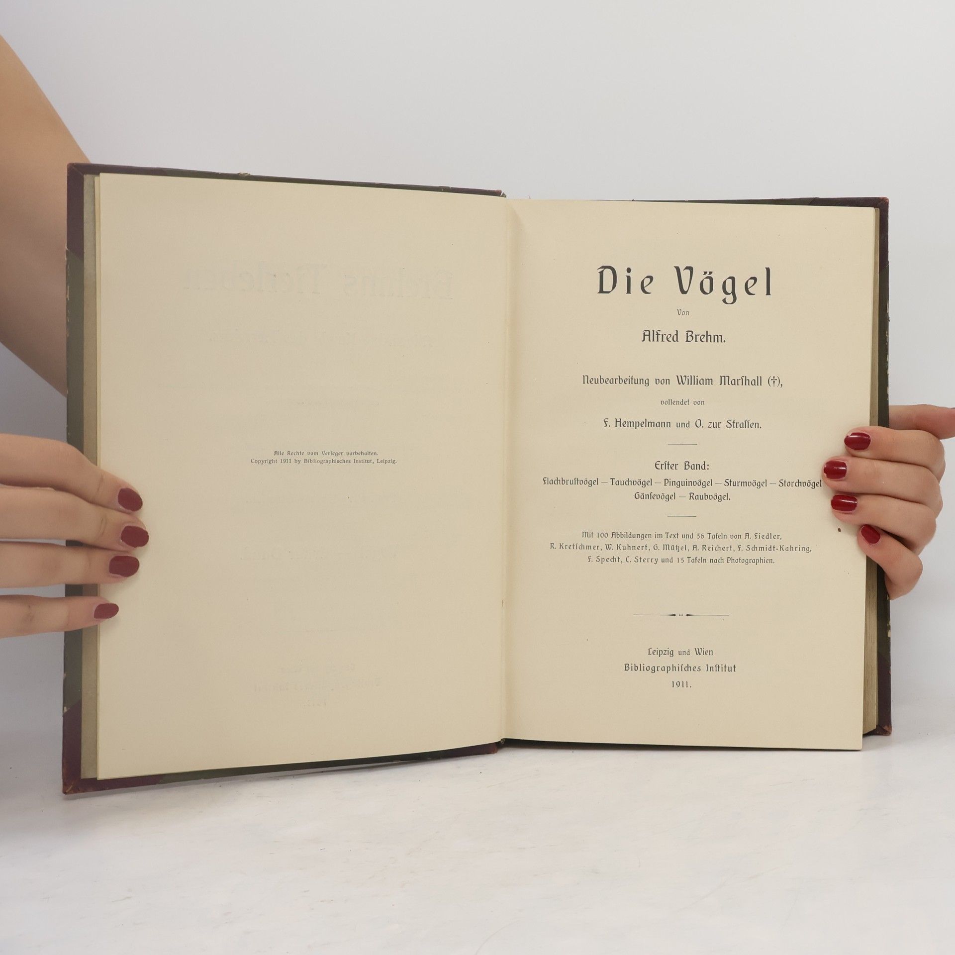 Alfred Edmund Brehm DIe Vogel. Erster Band