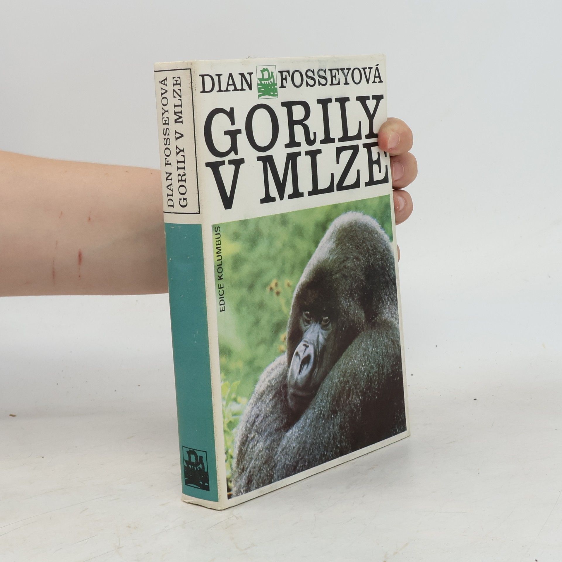Dian Fossey Gorily v mlze