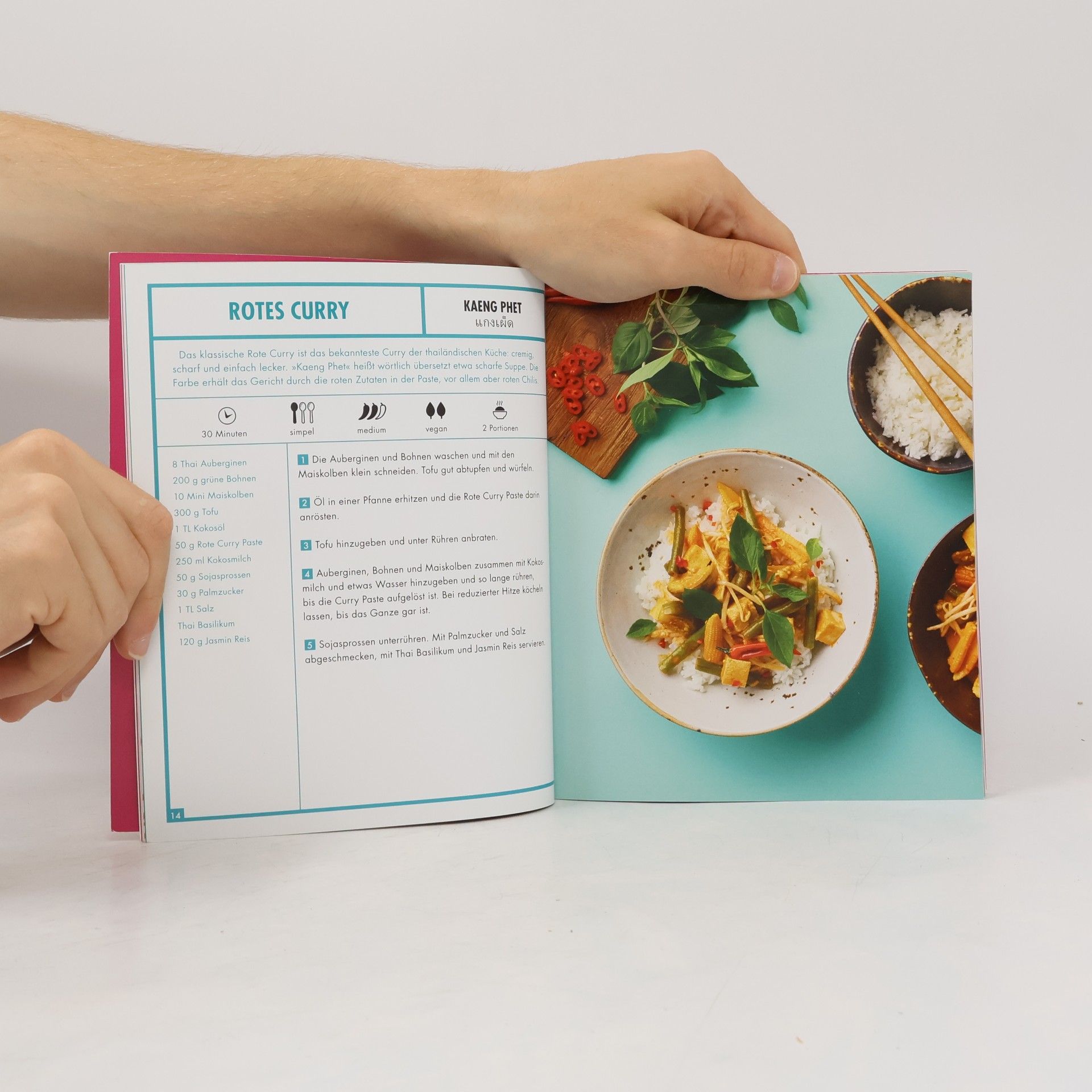 Auteurscollectief Reishunger Curry