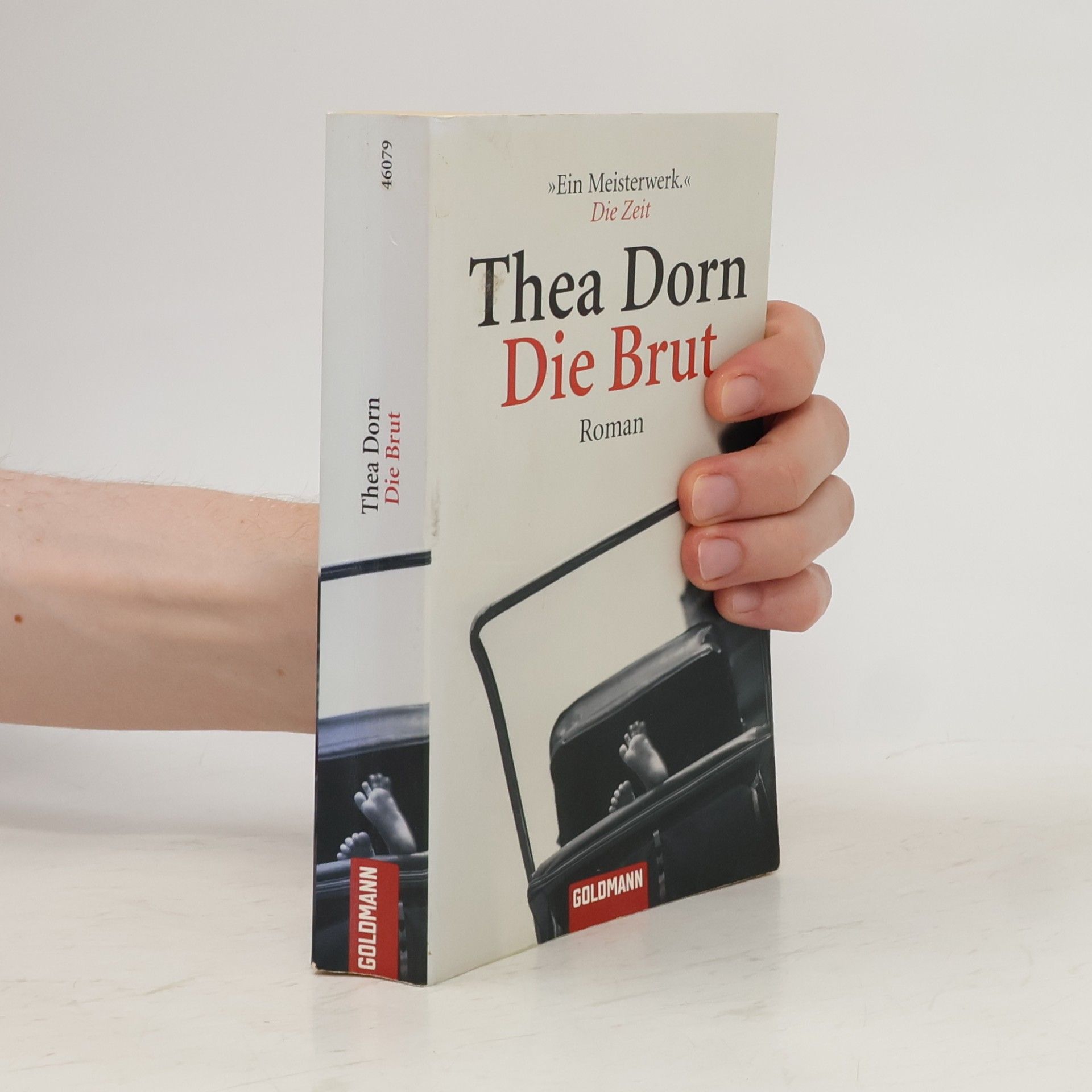 Thea Dorn Die Brut
