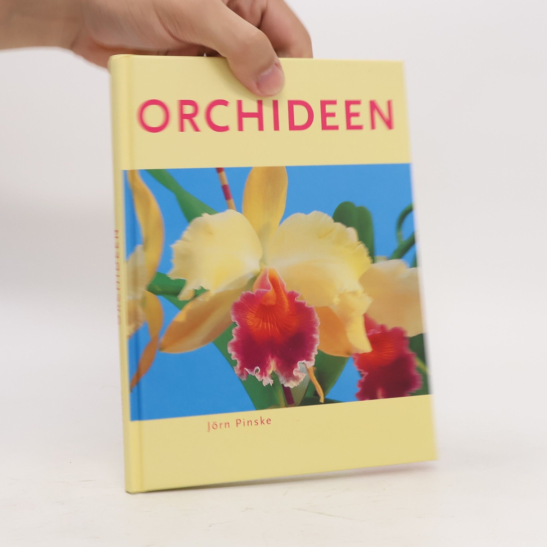 Orchideen