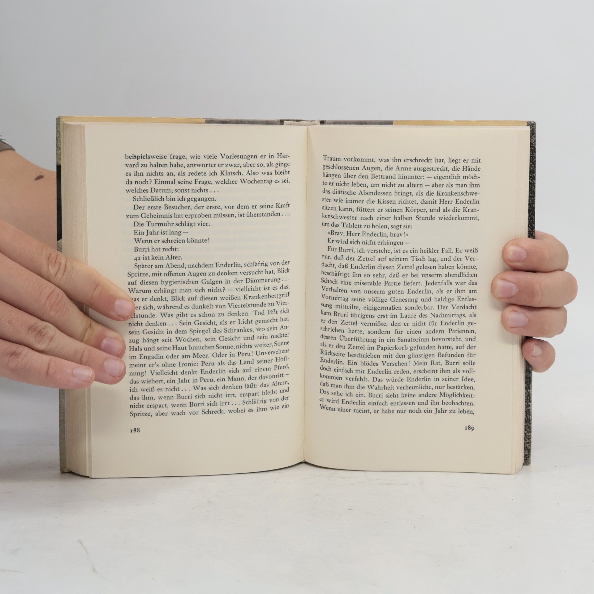 Max Frisch Mein Name sei Gantenbein