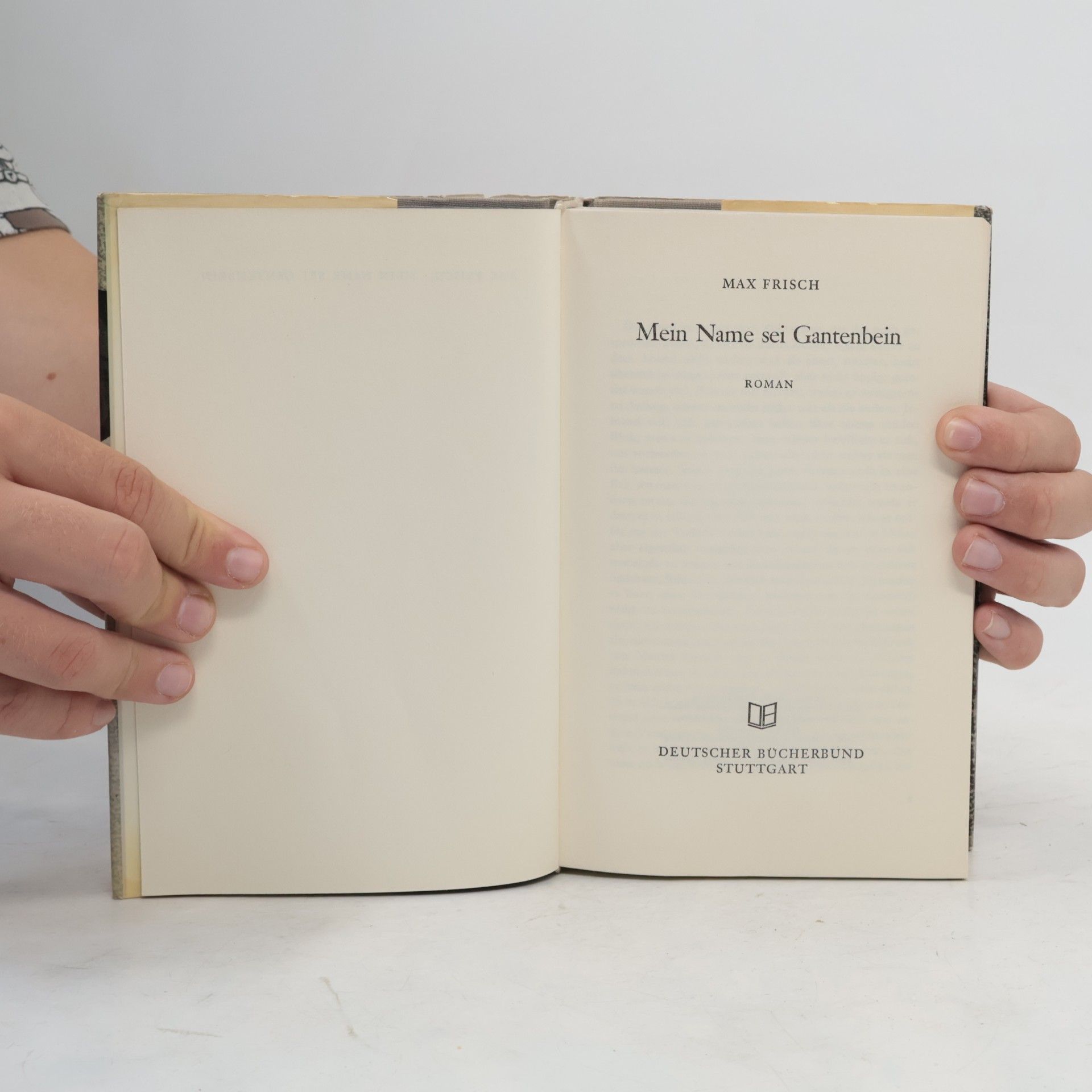 Max Frisch Mein Name sei Gantenbein