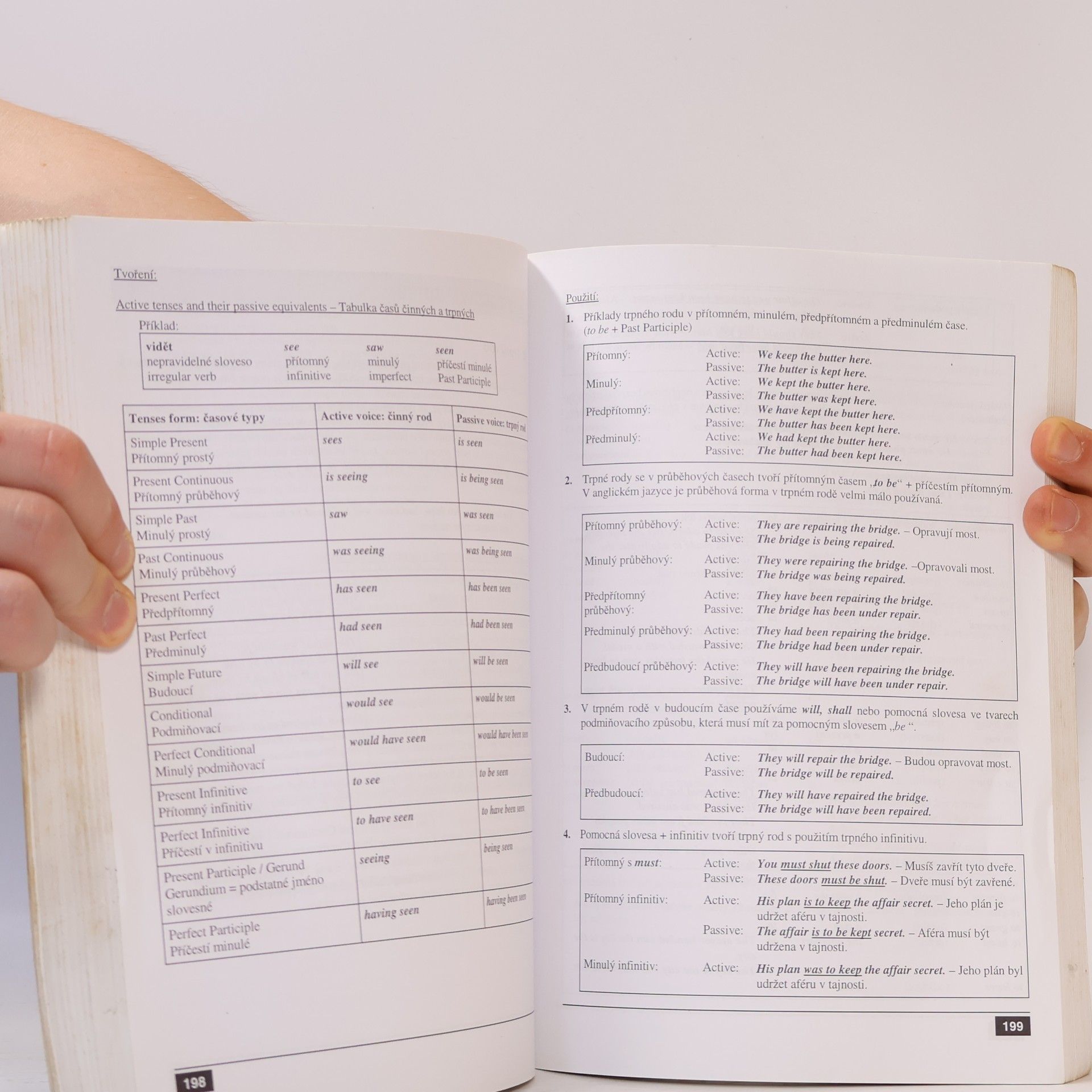 Helena Hnük von Wicher English Grammar - Anglická gramatika: Podrobná učebnice anglické gramatiky