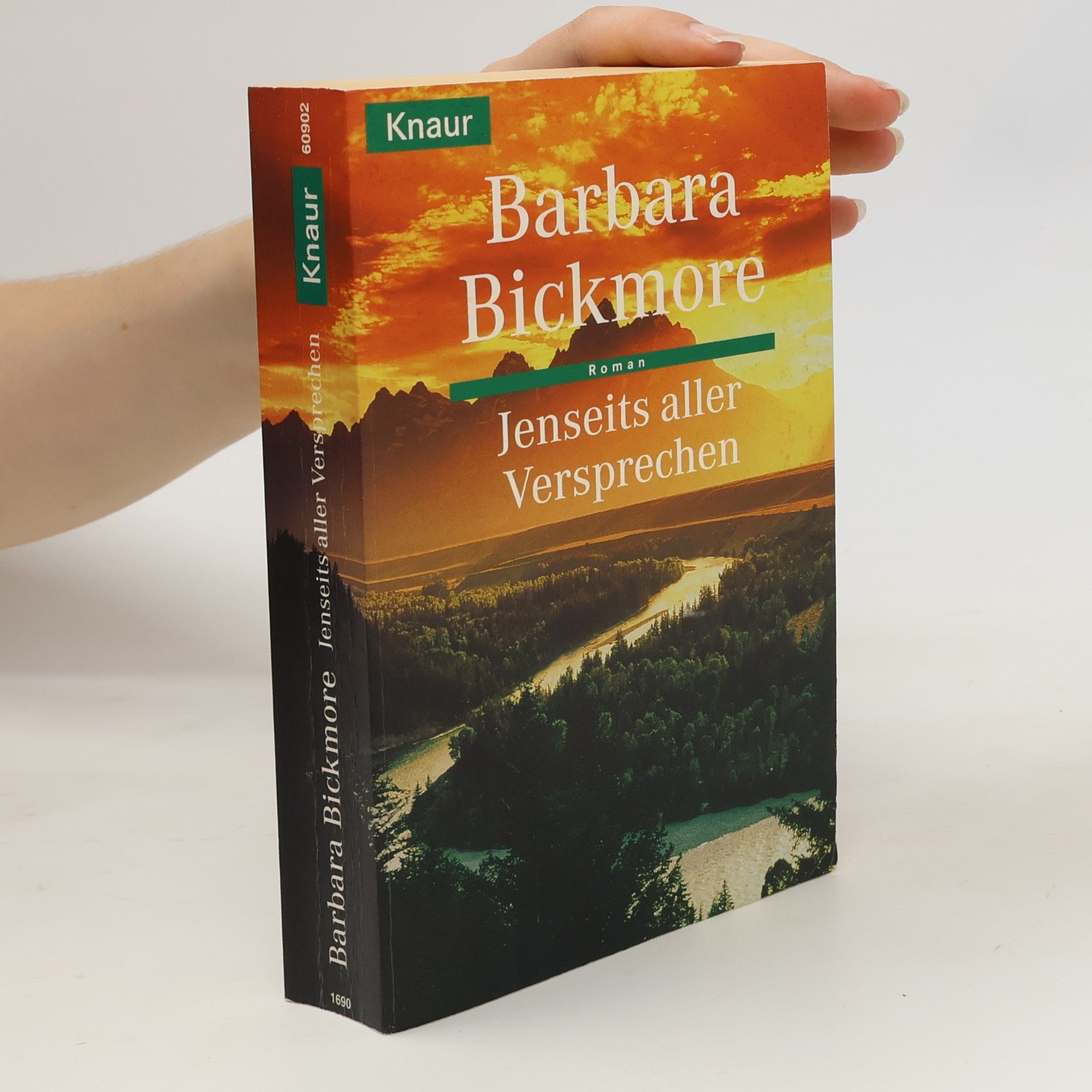 Barbara Bickmore Jenseits aller Versprechen