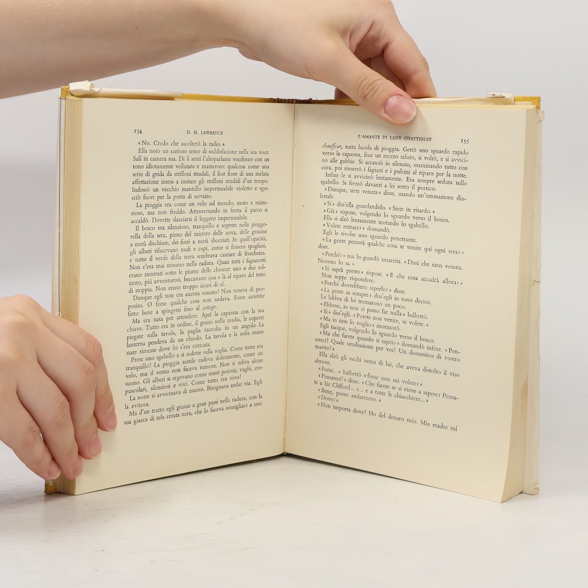 David Herbert Lawrence L'amante di Lady Chatterley