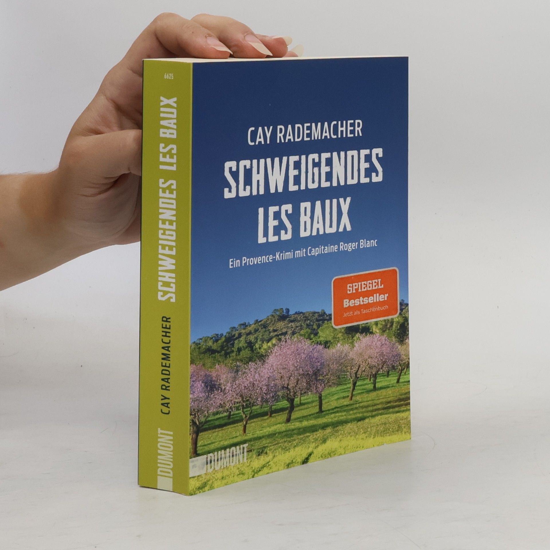 Cay Rademacher Schweigendes Les Baux