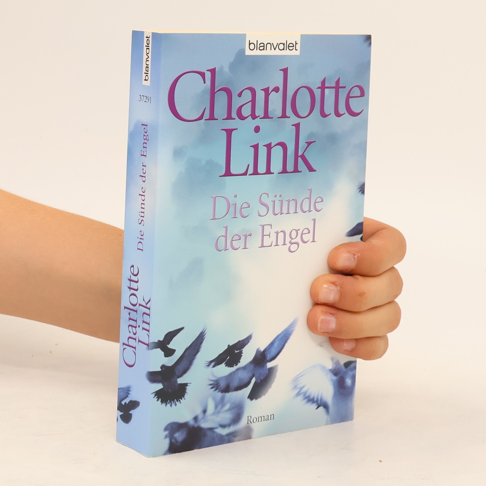 Charlotte Link Die Sünde der Engel