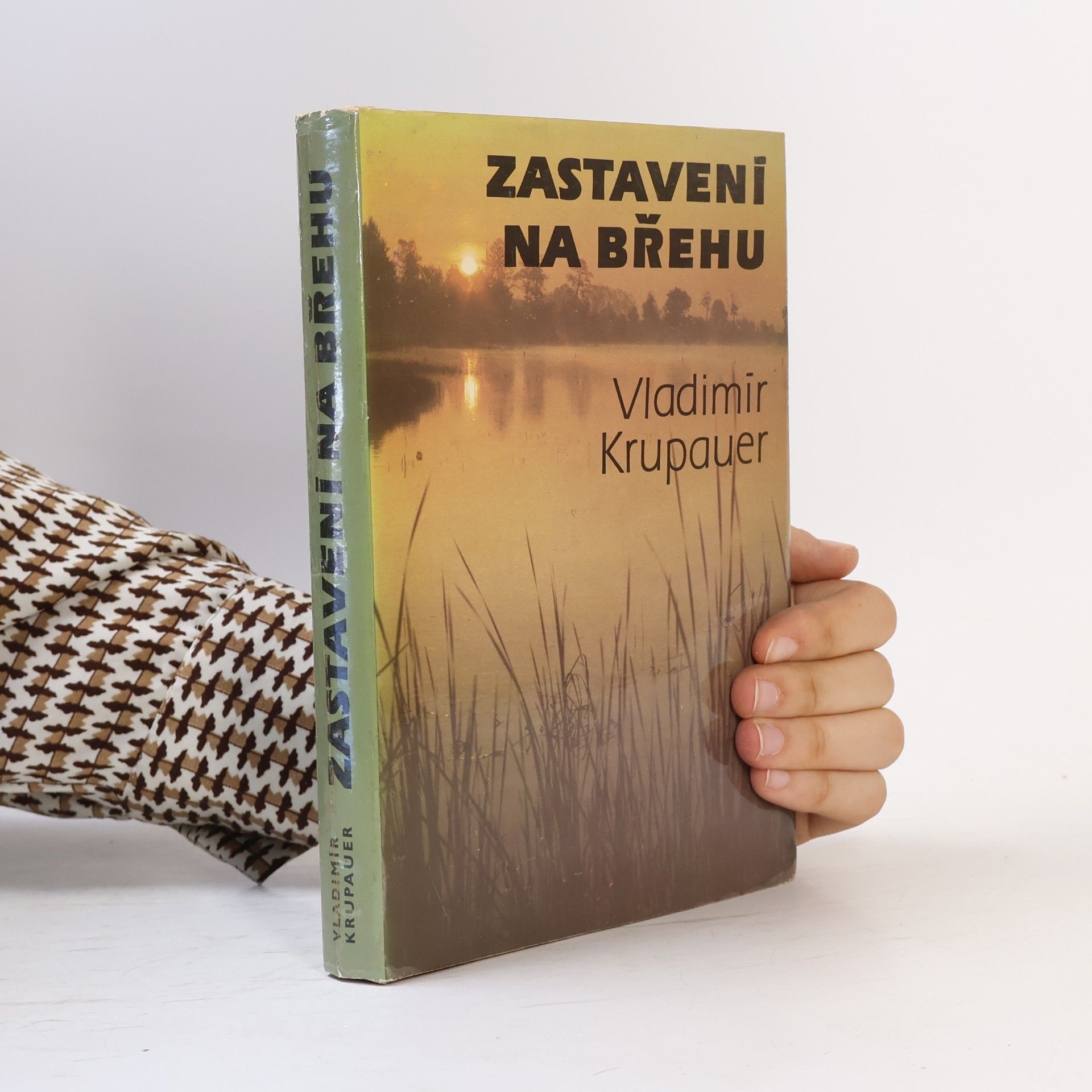 Vladimír Krupauer Zastavení na břehu