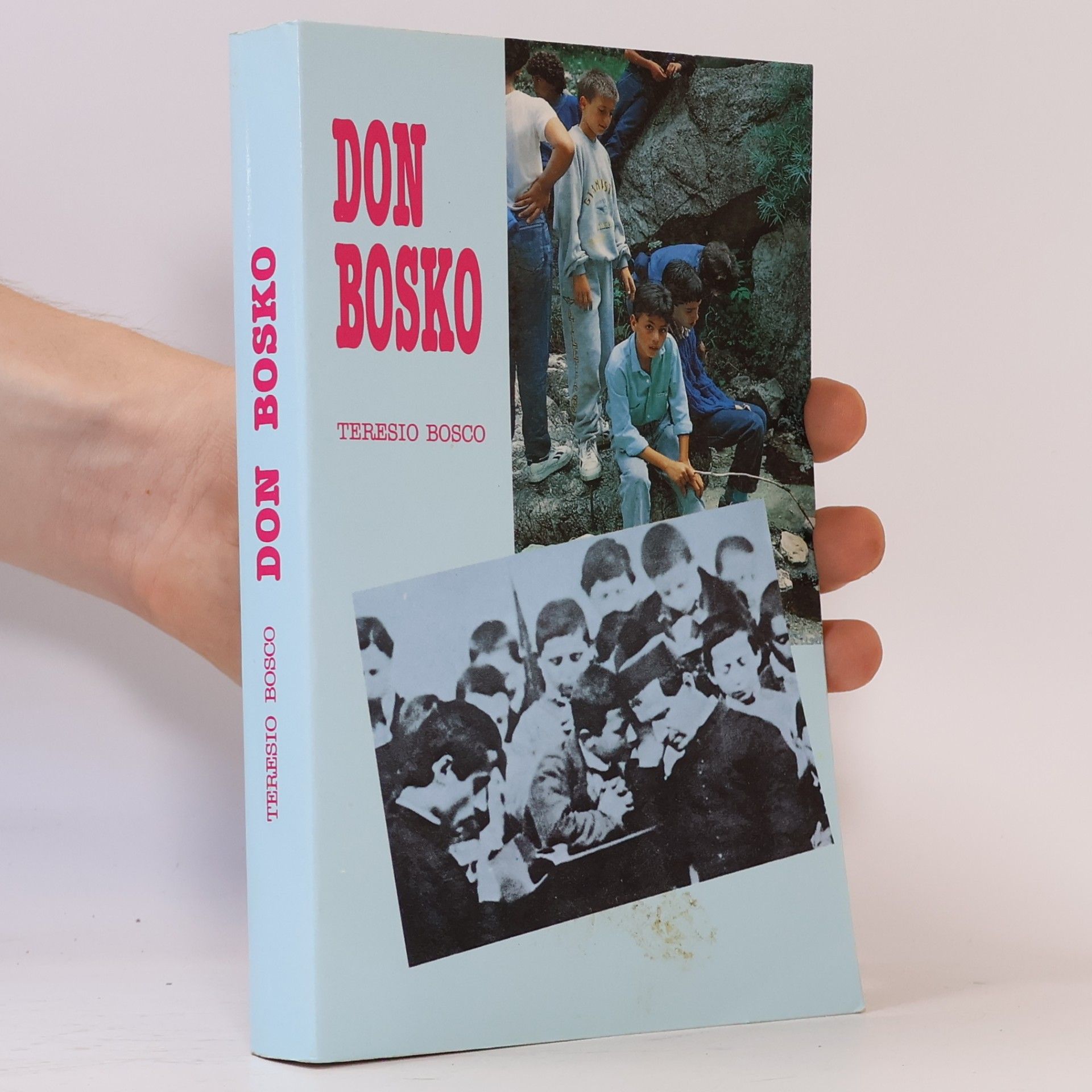 Teresio Bosco Don Bosko